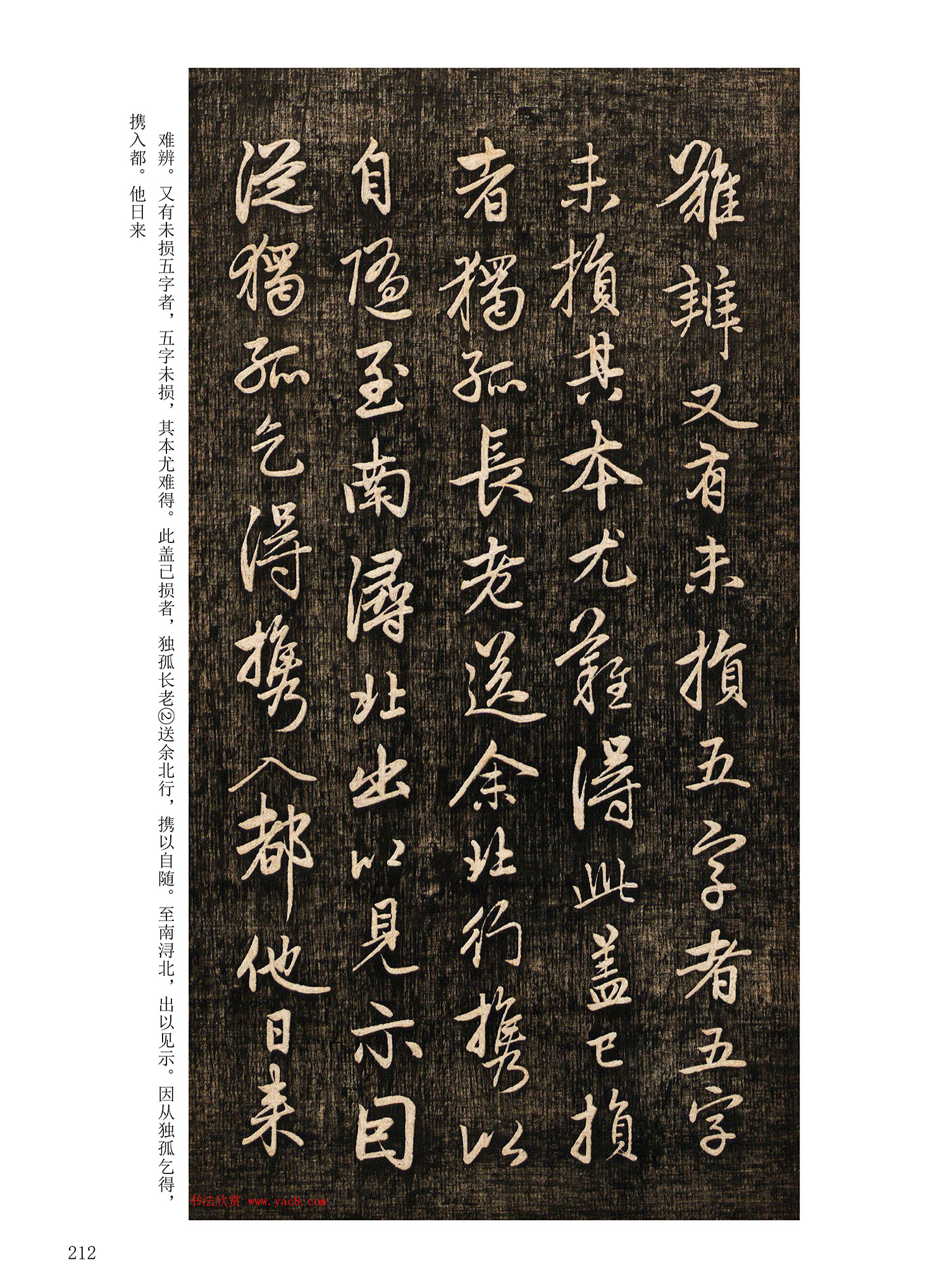 ���Ԫ�༭�������\�鷨��ѡ��