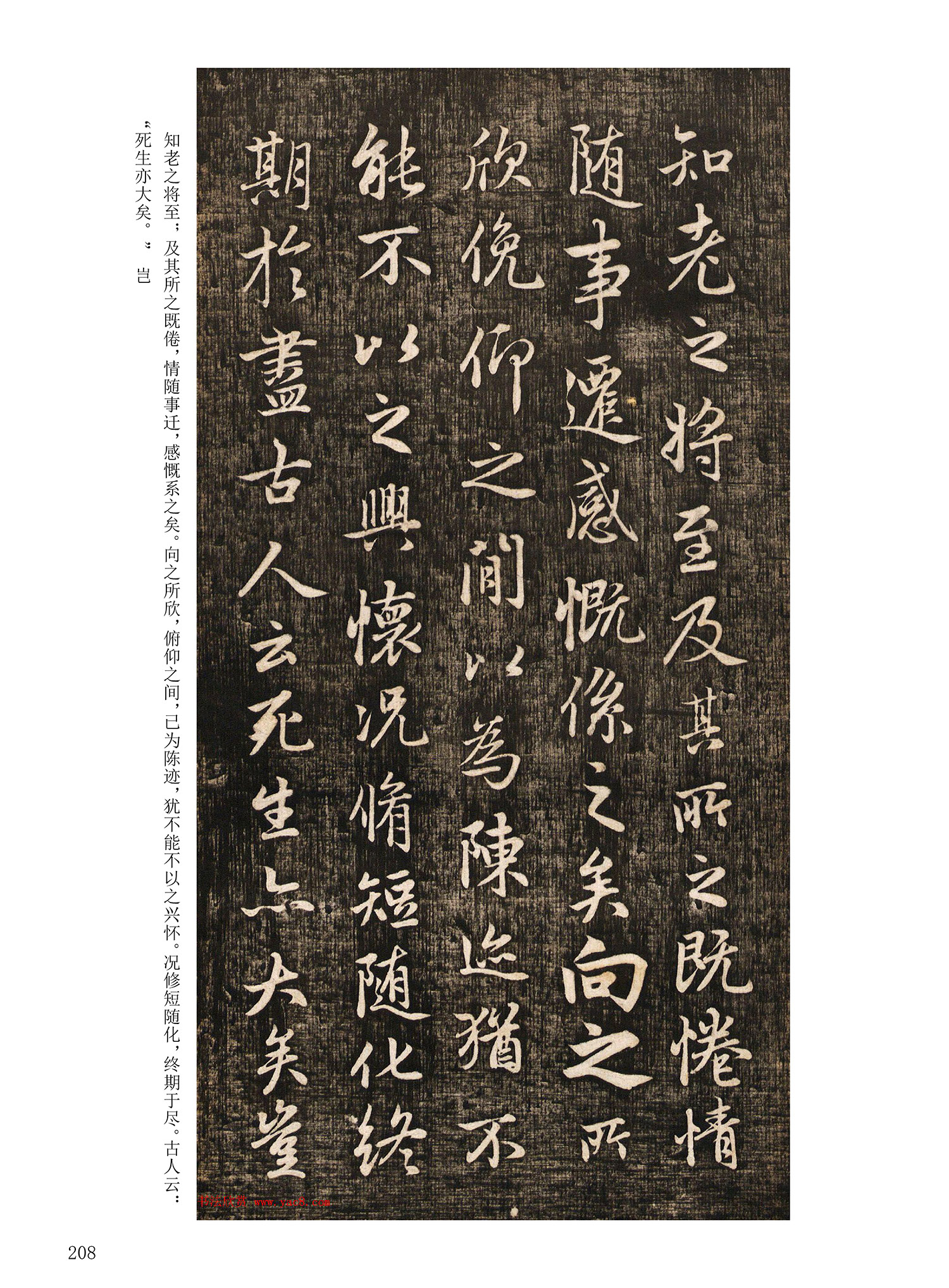 ���Ԫ�༭�������\�鷨��ѡ��