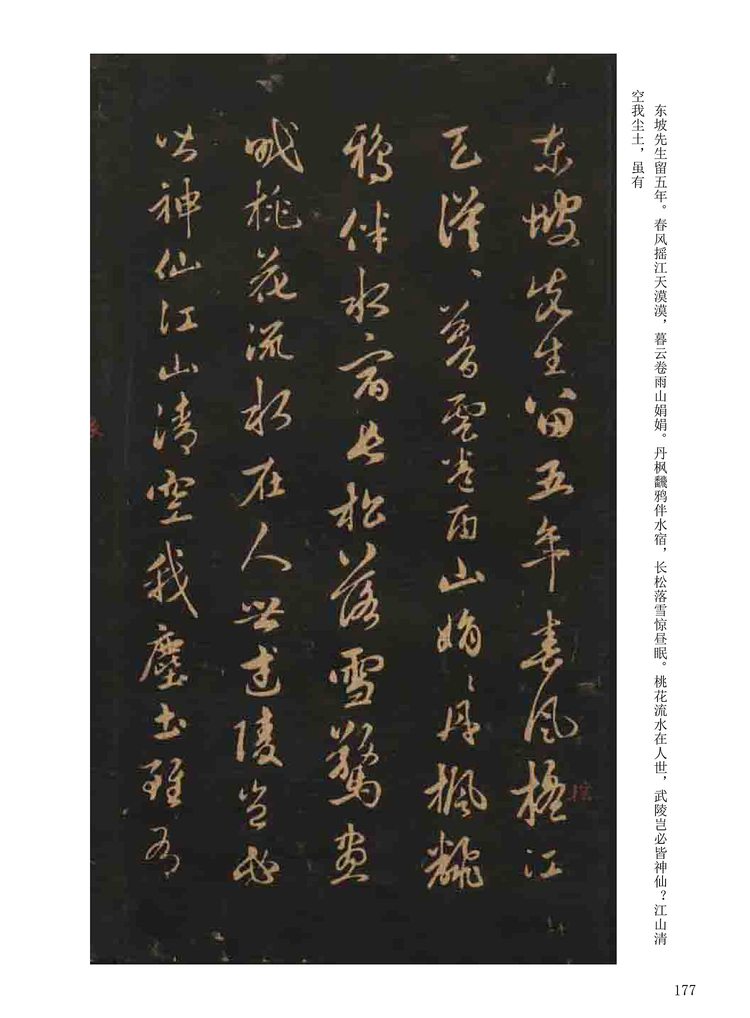 ���Ԫ�༭�������\�鷨��ѡ��