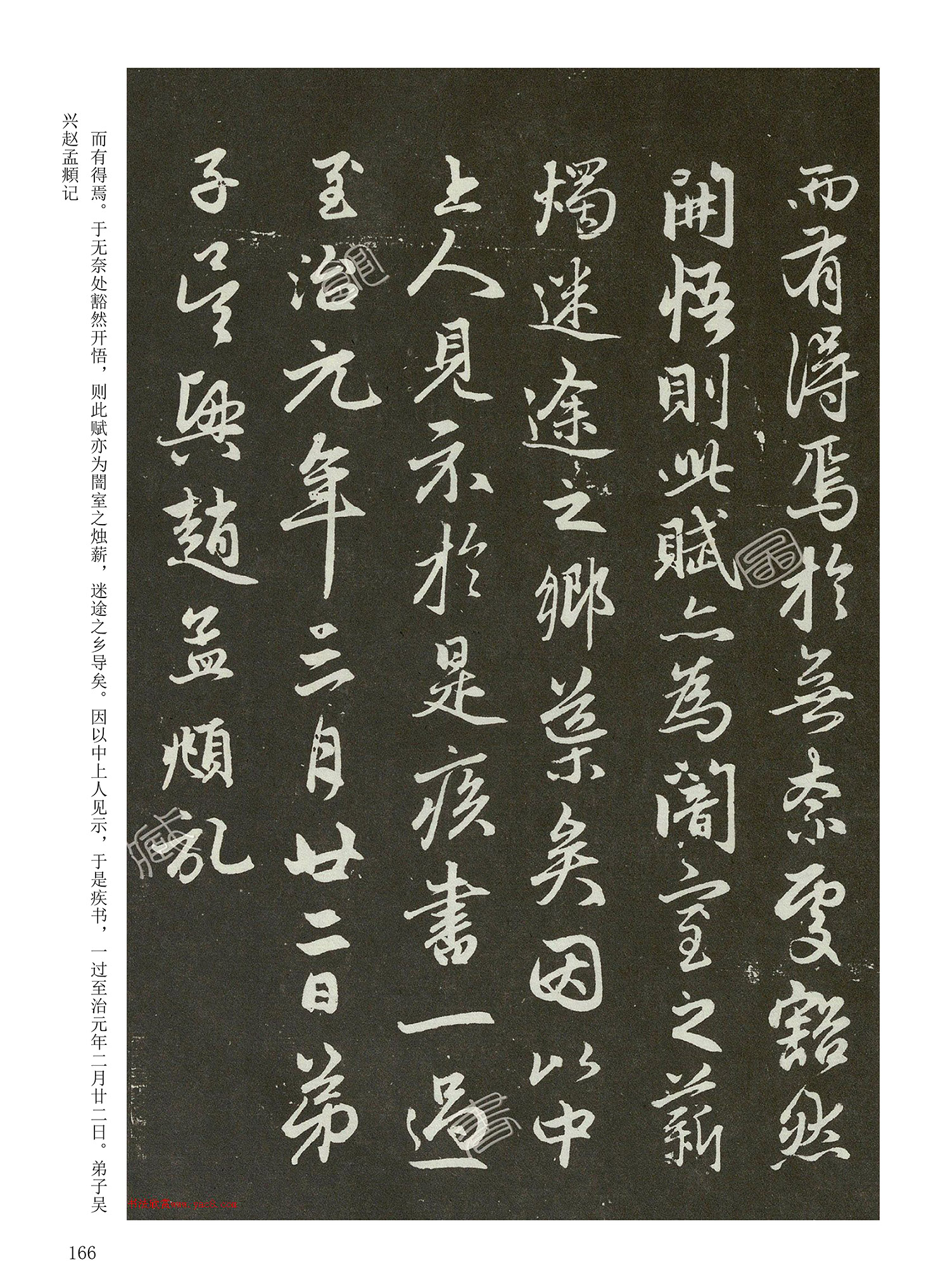 ���Ԫ�༭�������\�鷨��ѡ��