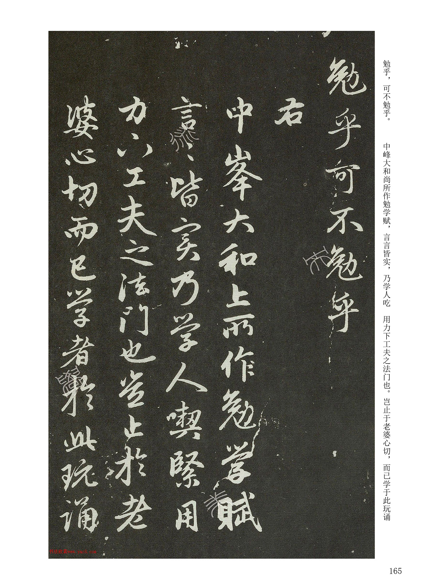 ���Ԫ�༭�������\�鷨��ѡ��