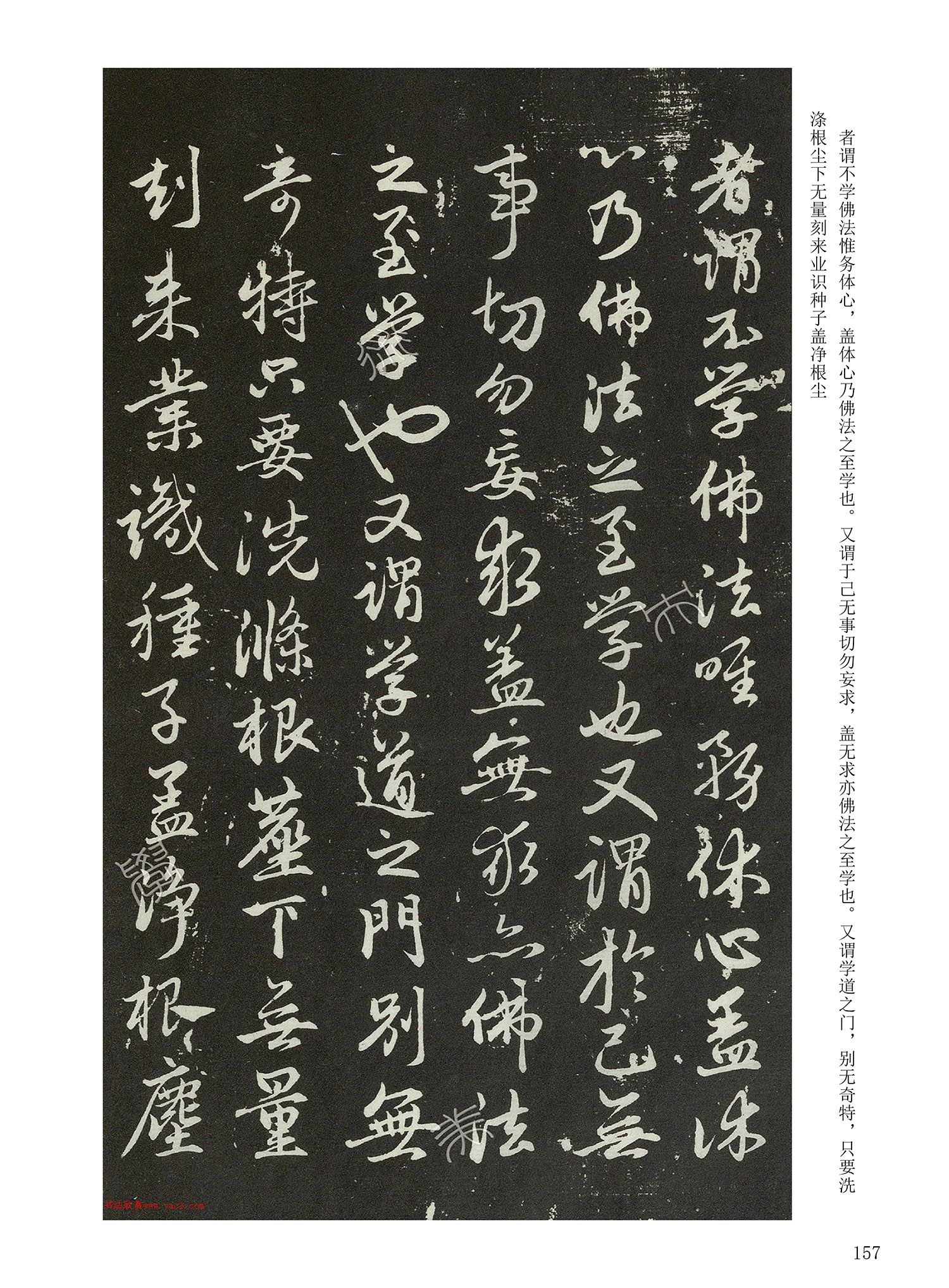 ���Ԫ�༭�������\�鷨��ѡ��