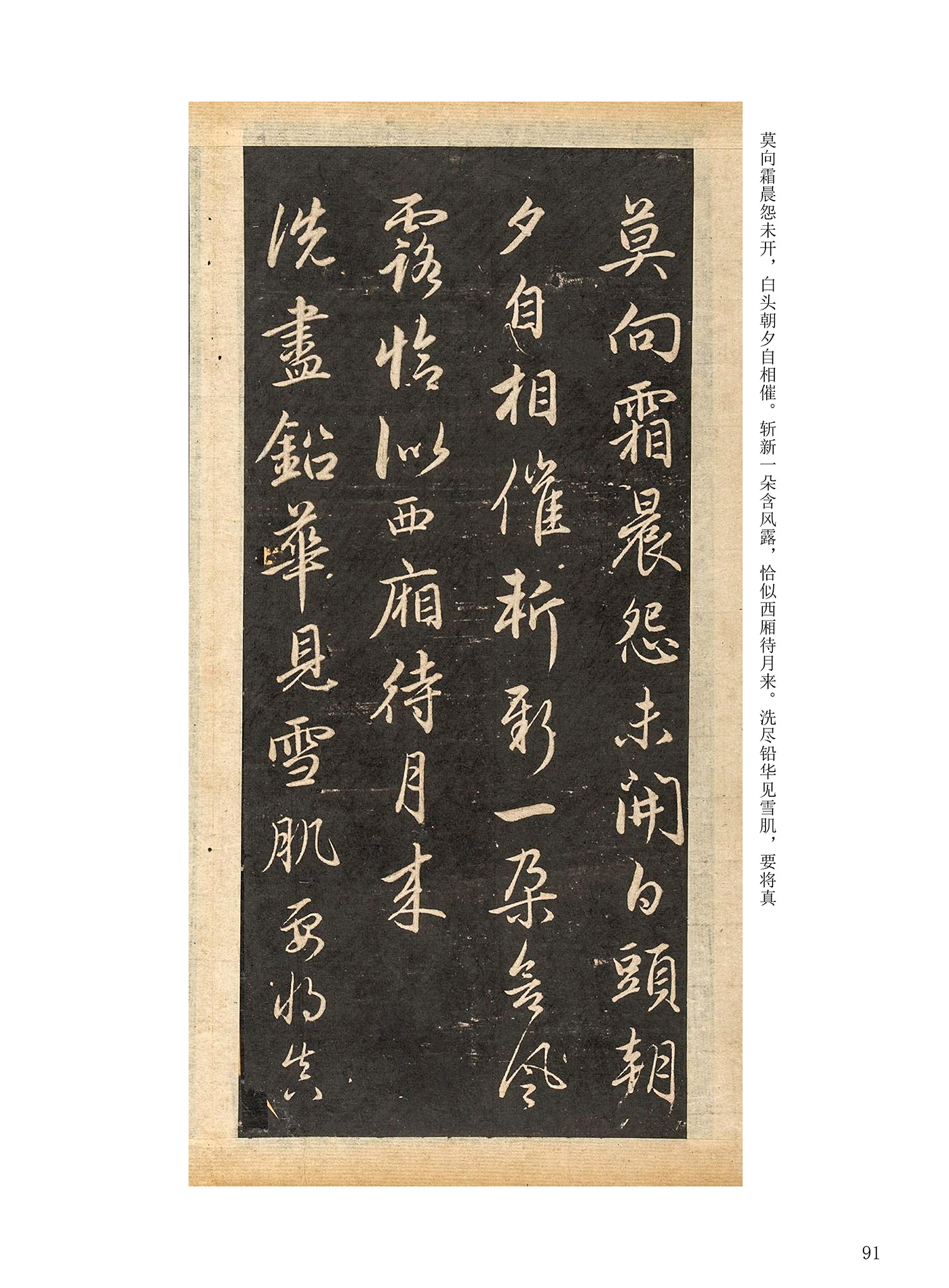 ���Ԫ�༭�������\�鷨��ѡ��