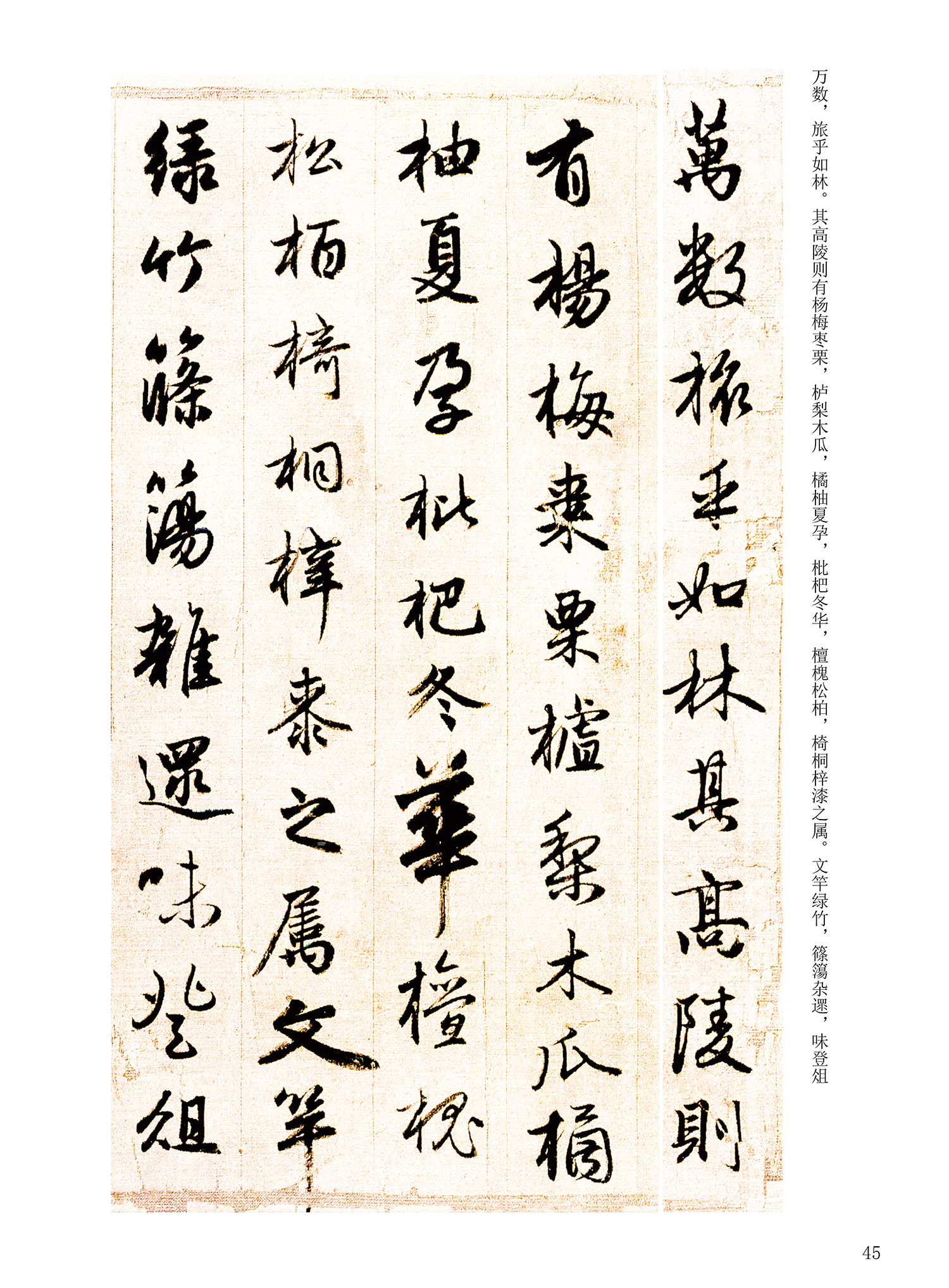 ���Ԫ�༭�������\�鷨��ѡ��