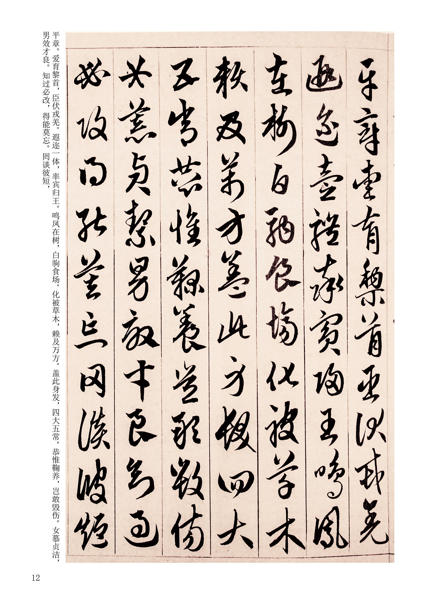 ���Ԫ�༭�������\�鷨��ѡ��