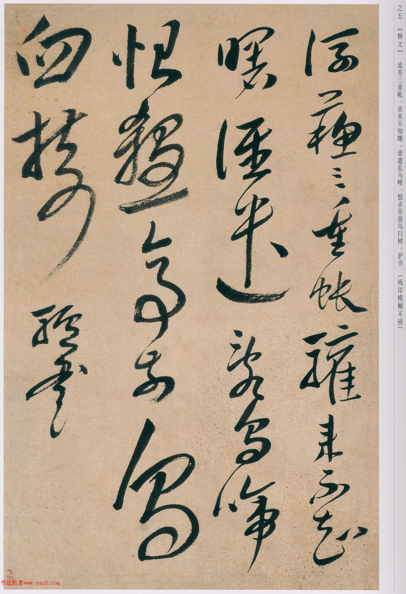 �����в���ʫ��ſ�