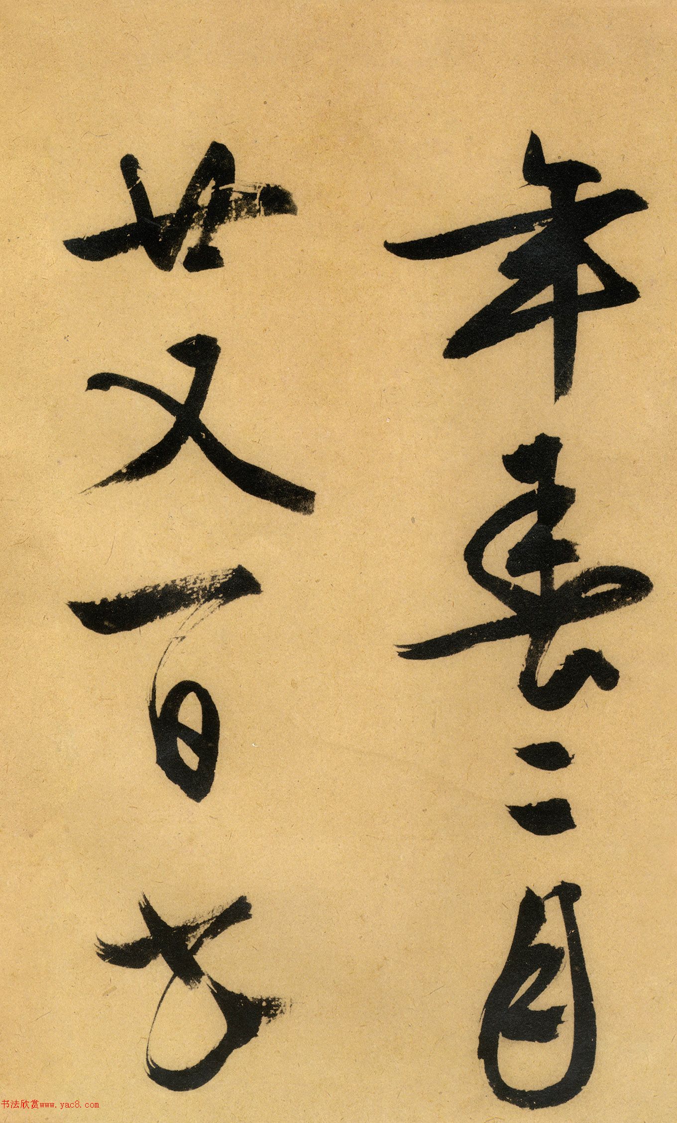 �������������顶����ͤ�ǡ�