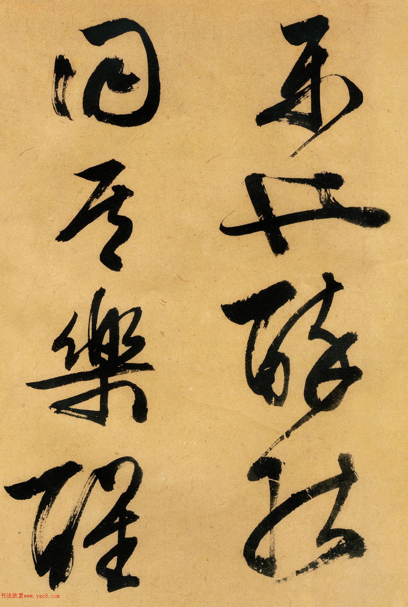 �������������顶����ͤ�ǡ�