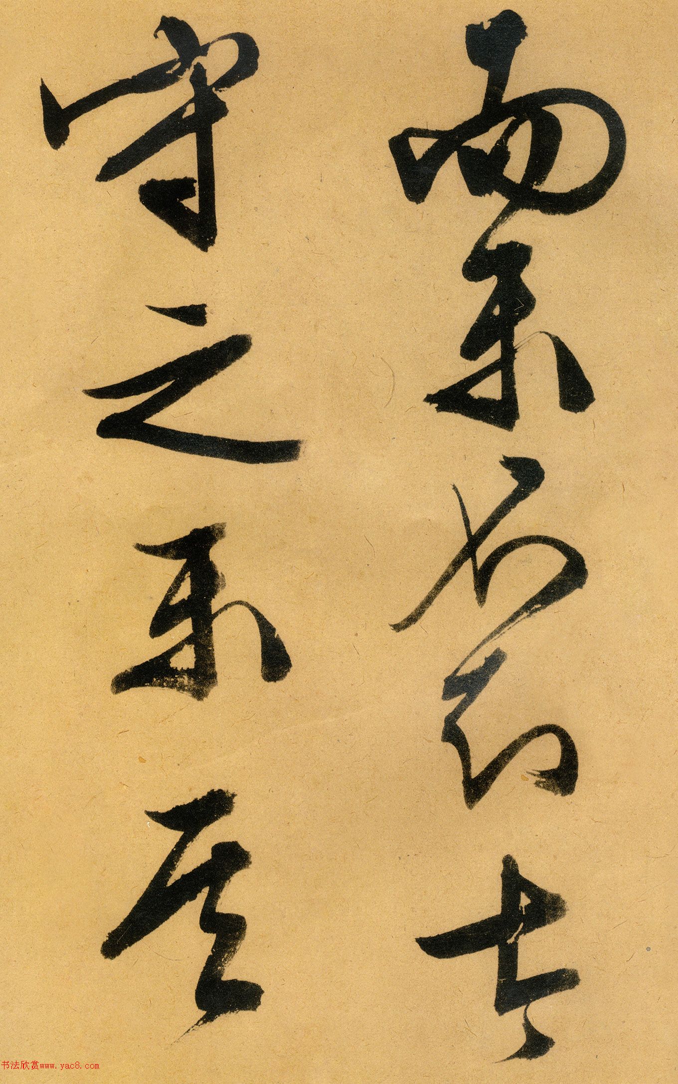 �������������顶����ͤ�ǡ�