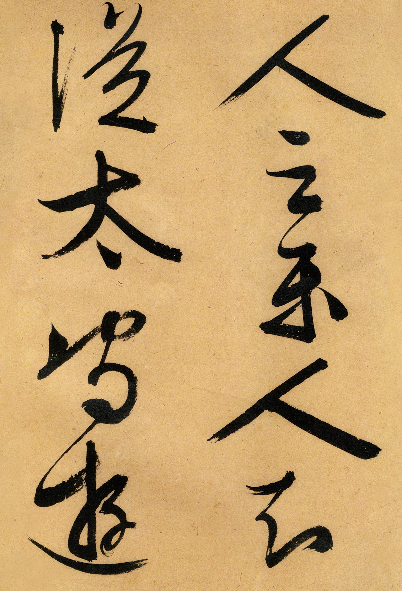 �������������顶����ͤ�ǡ�