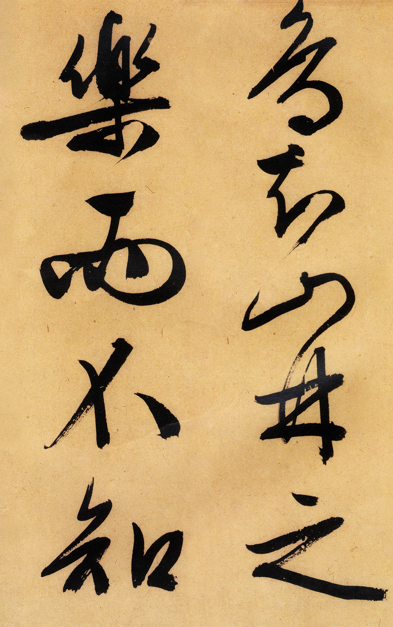 �������������顶����ͤ�ǡ�