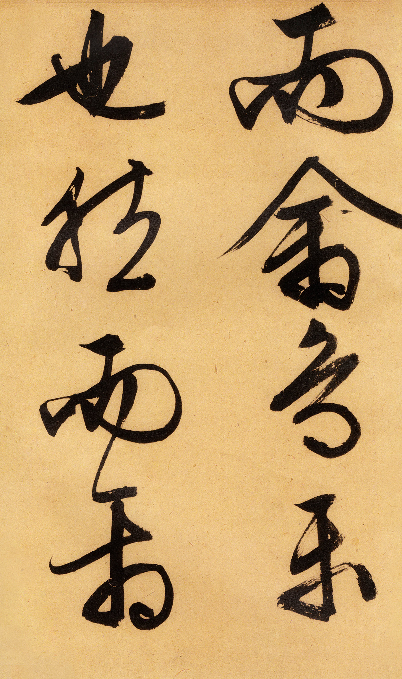 �������������顶����ͤ�ǡ�