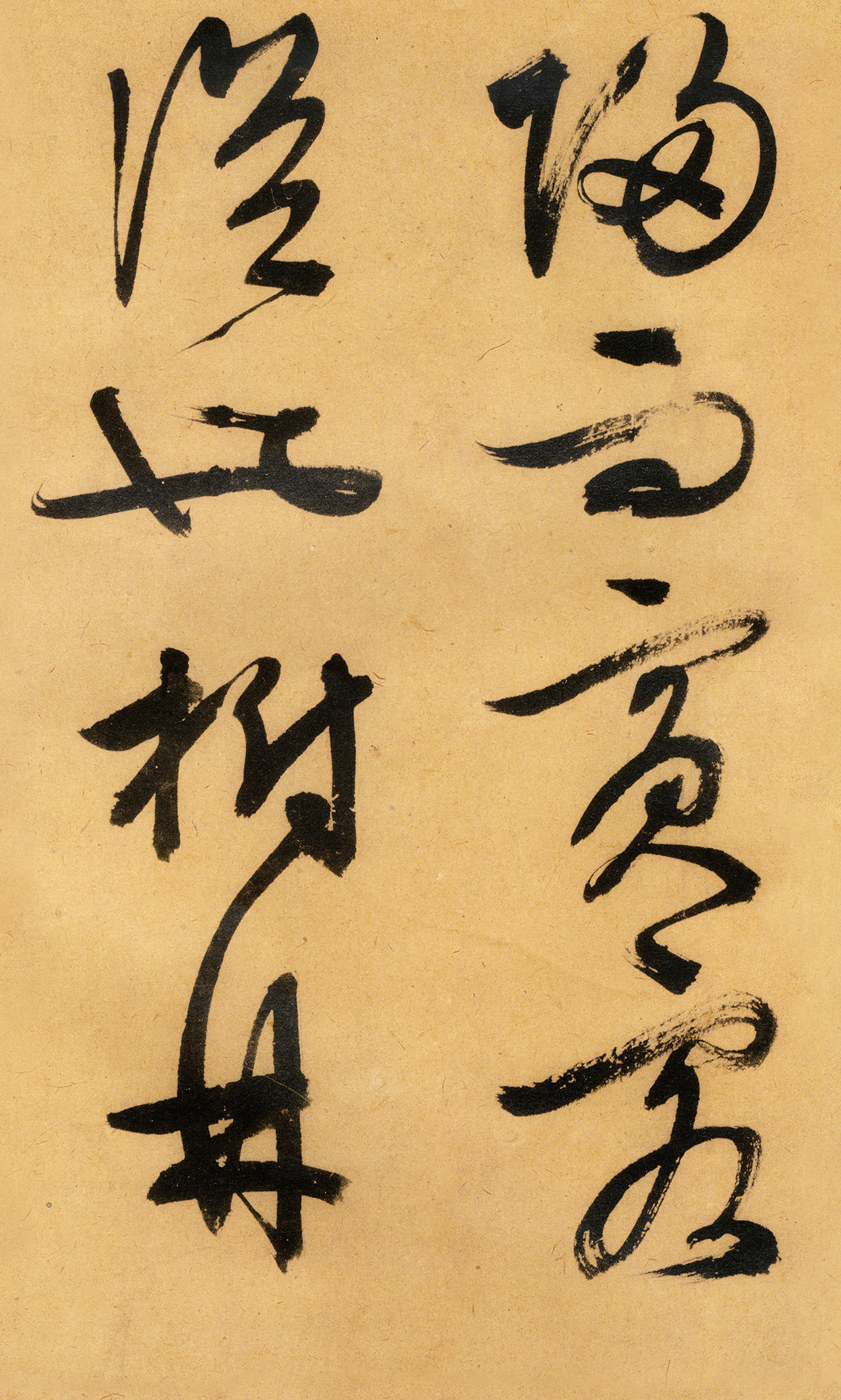 �������������顶����ͤ�ǡ�