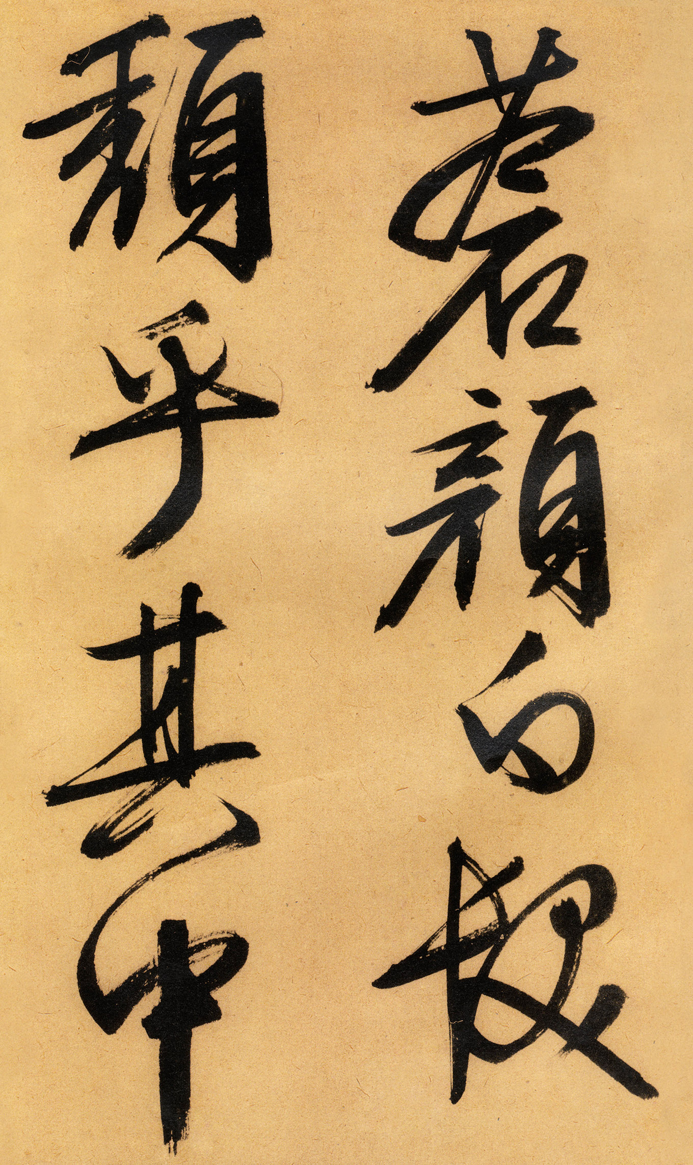 �������������顶����ͤ�ǡ�