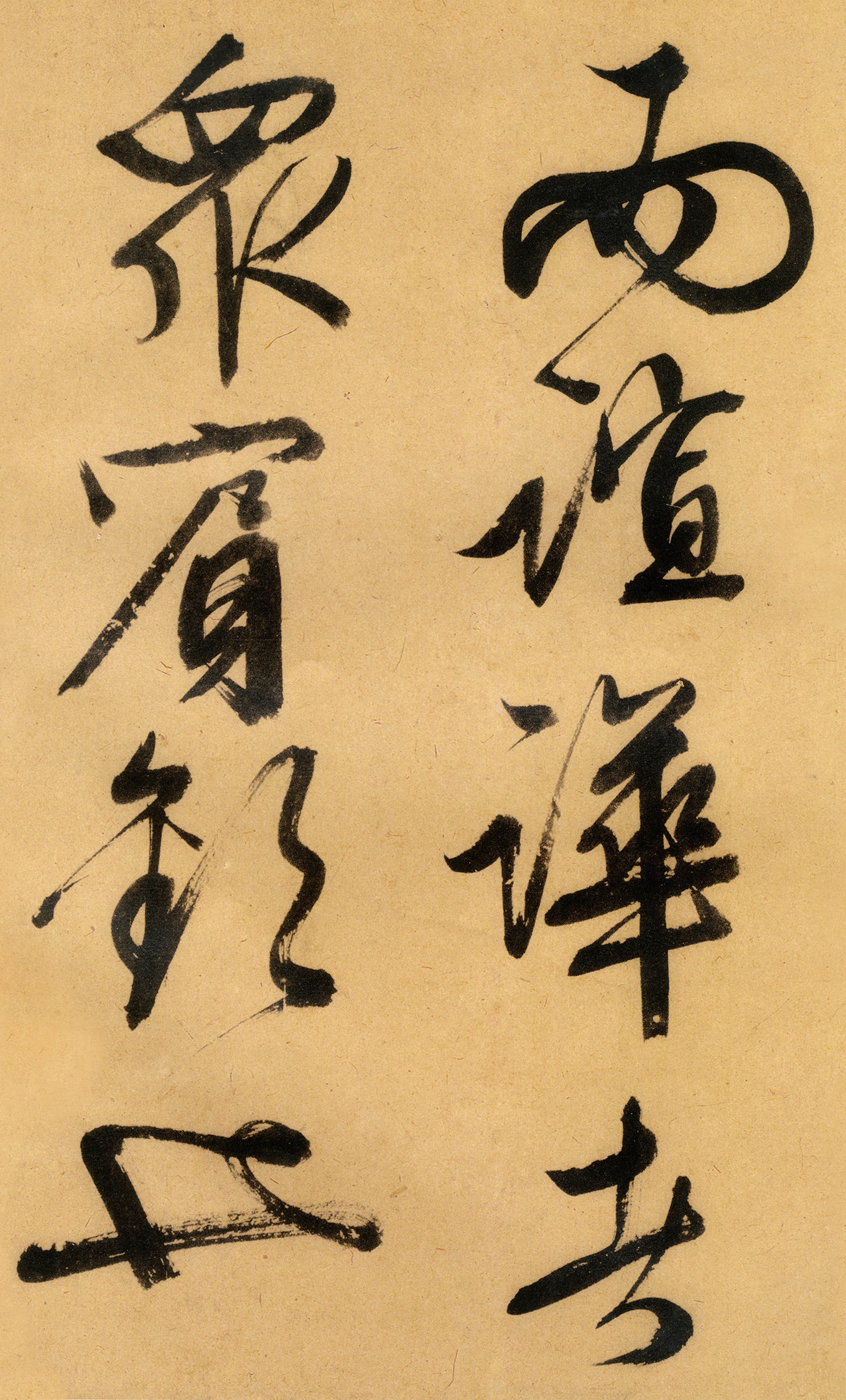 �������������顶����ͤ�ǡ�