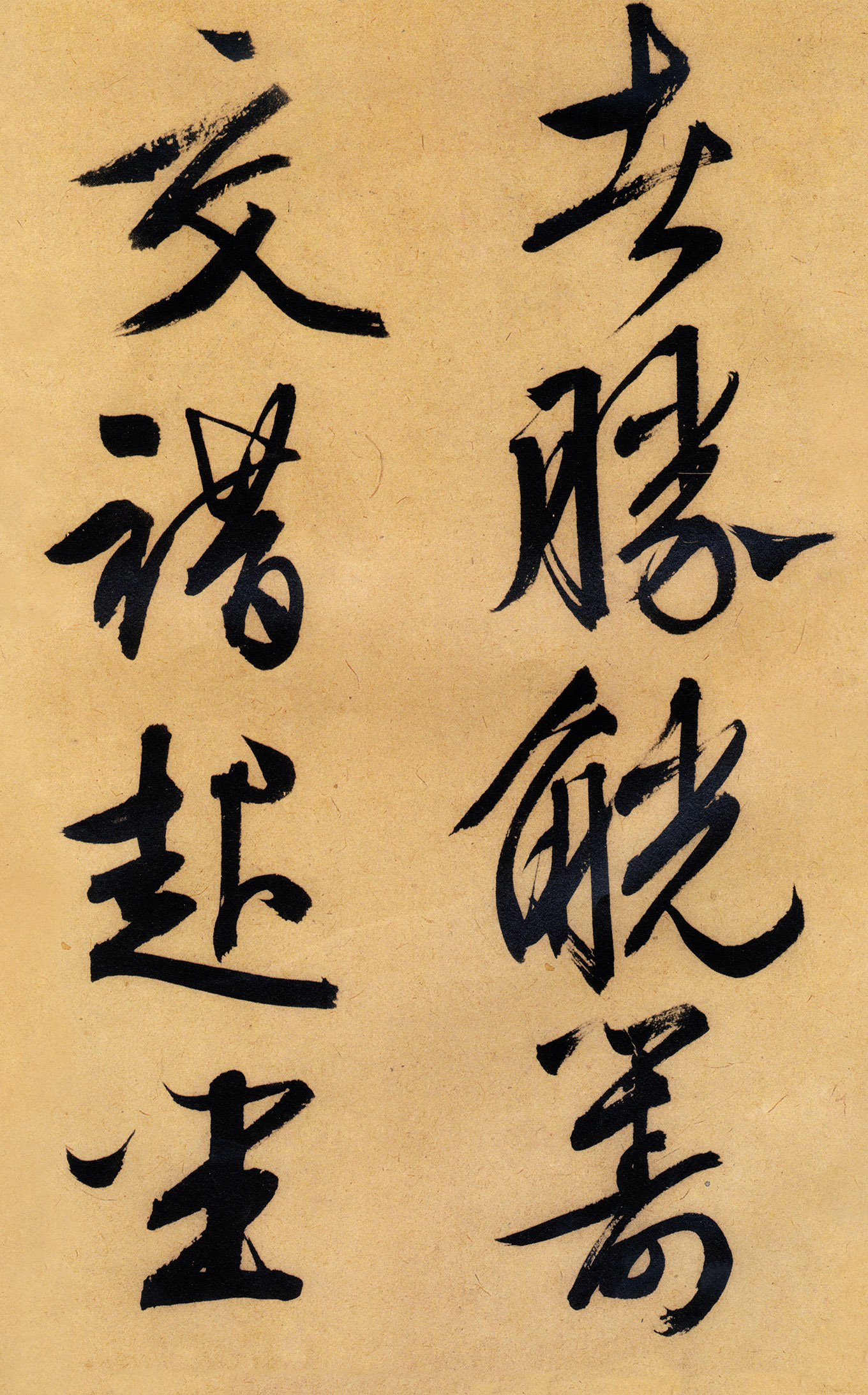 �������������顶����ͤ�ǡ�