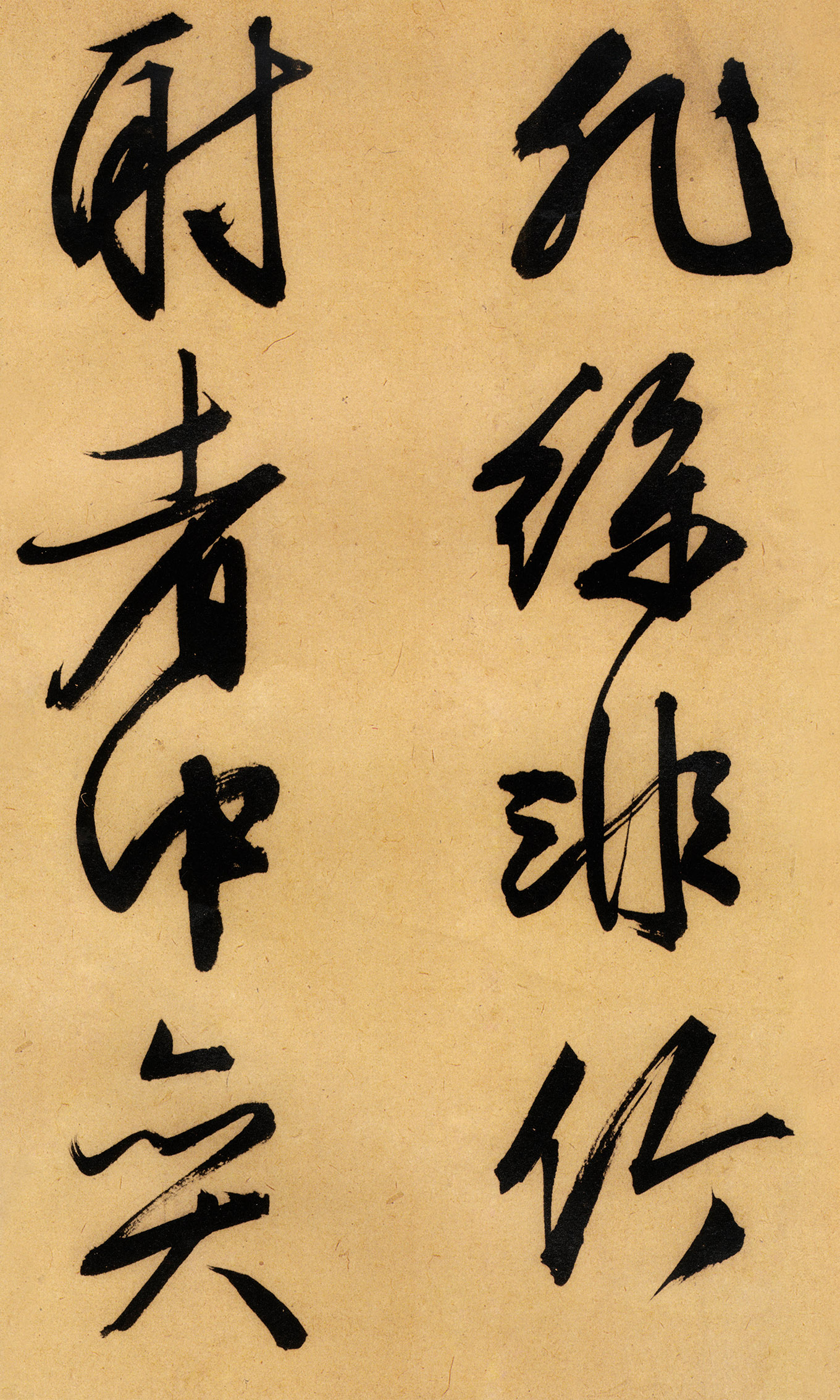 �������������顶����ͤ�ǡ�