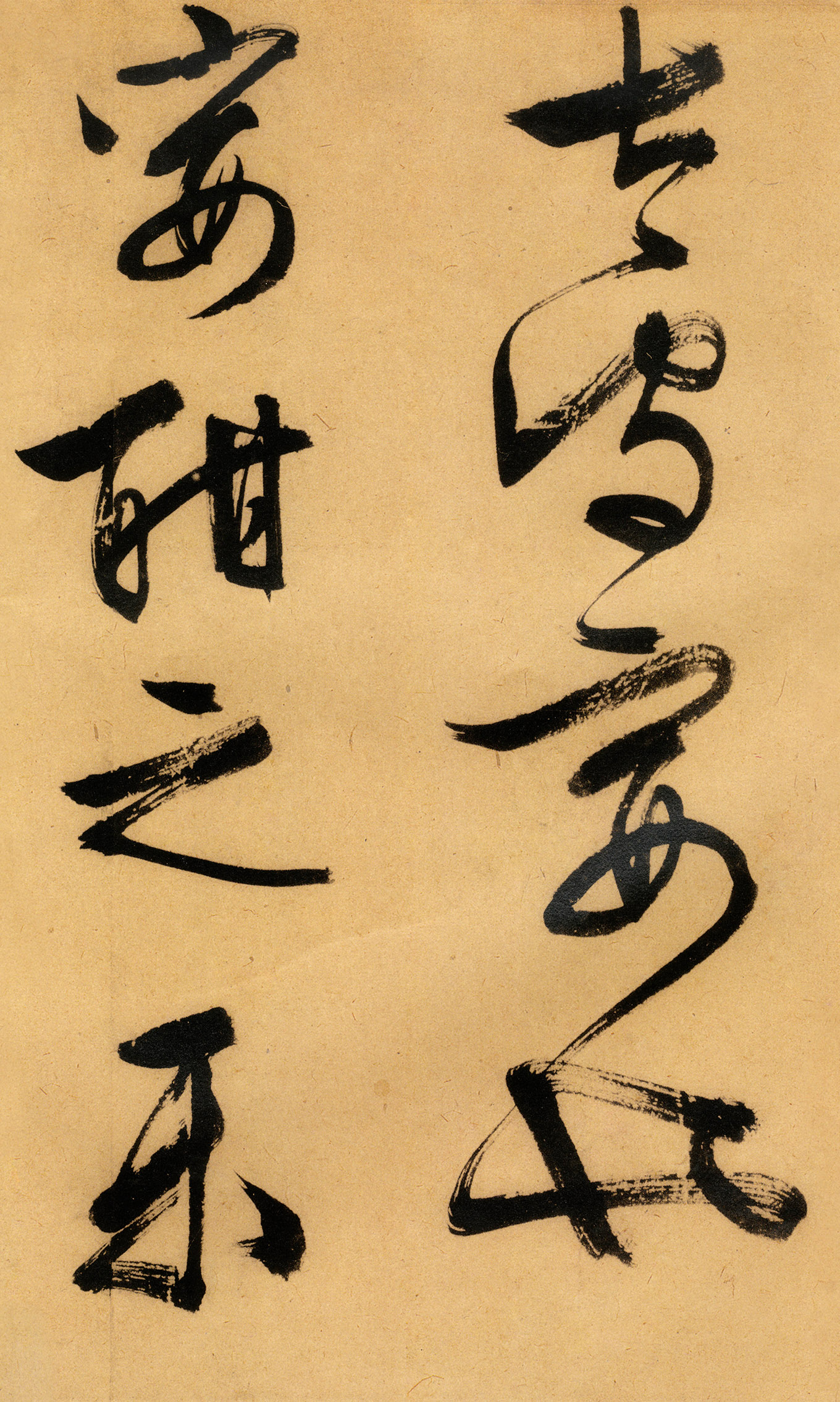 �������������顶����ͤ�ǡ�