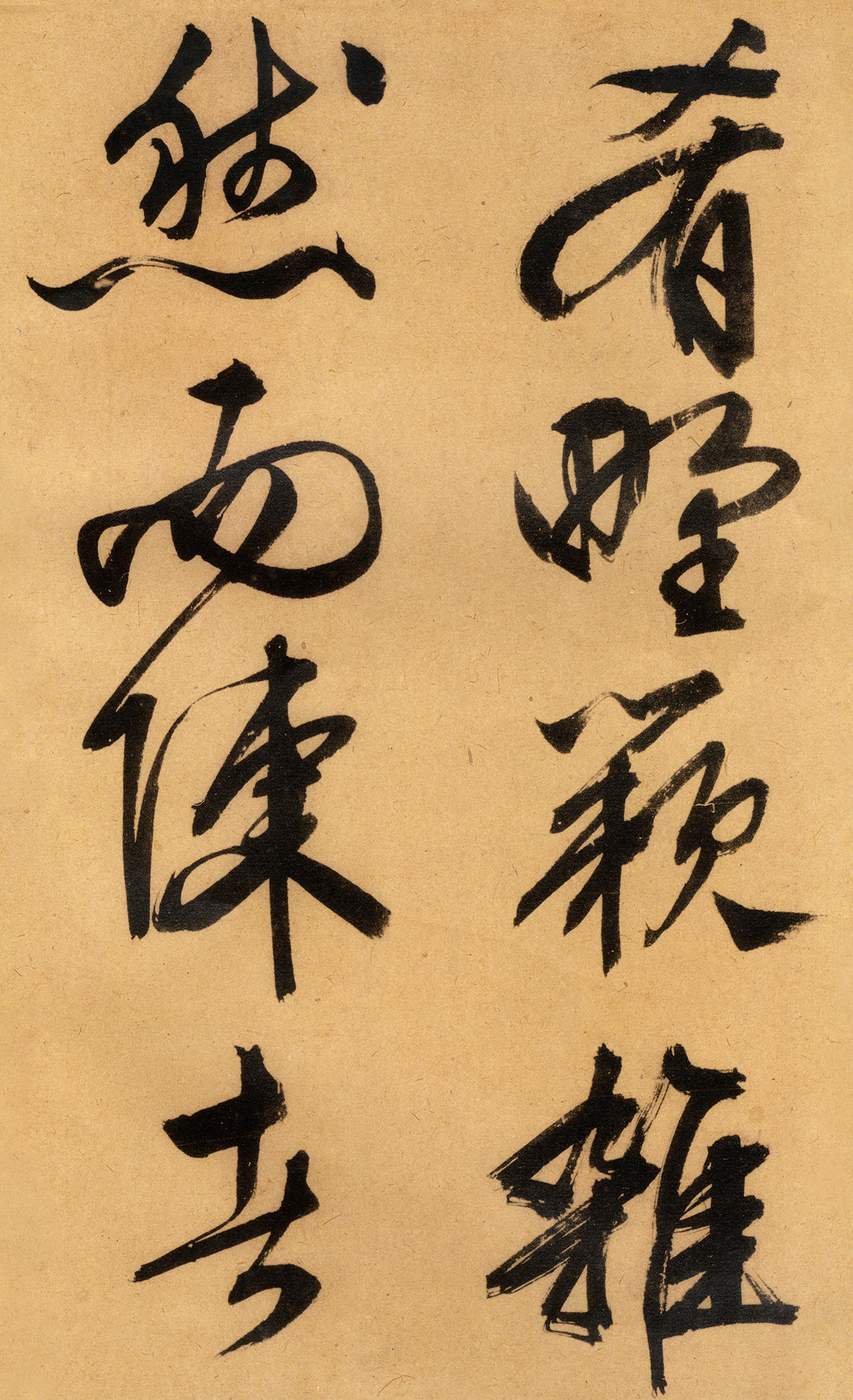 �������������顶����ͤ�ǡ�