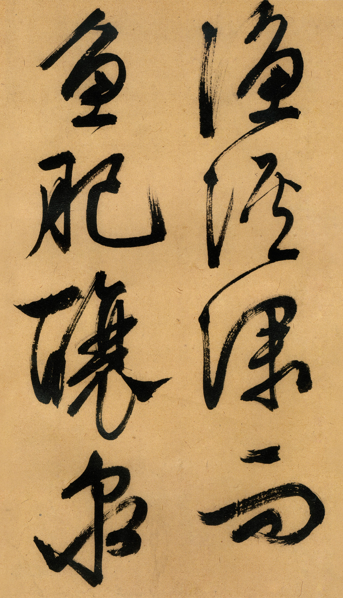 �������������顶����ͤ�ǡ�