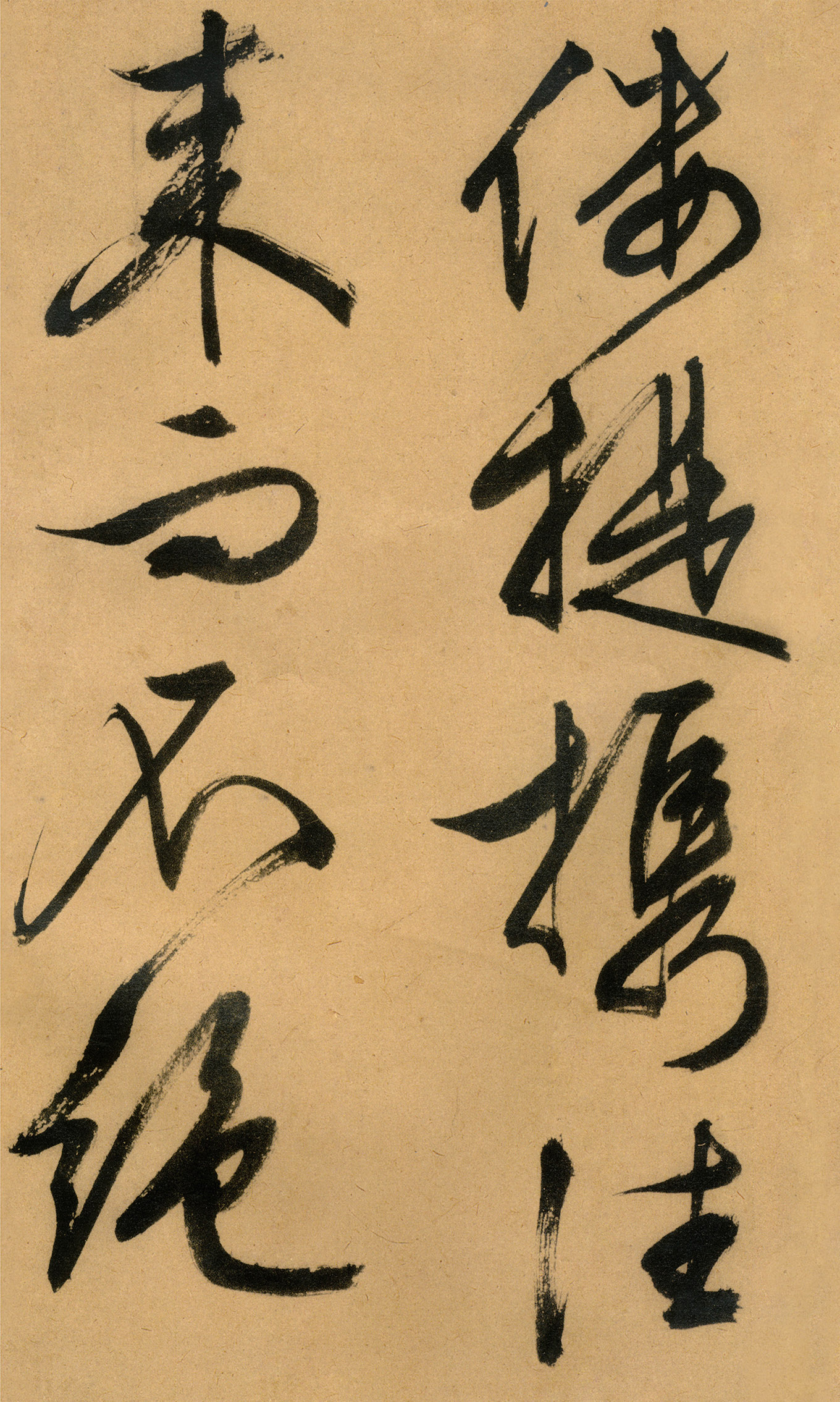 �������������顶����ͤ�ǡ�