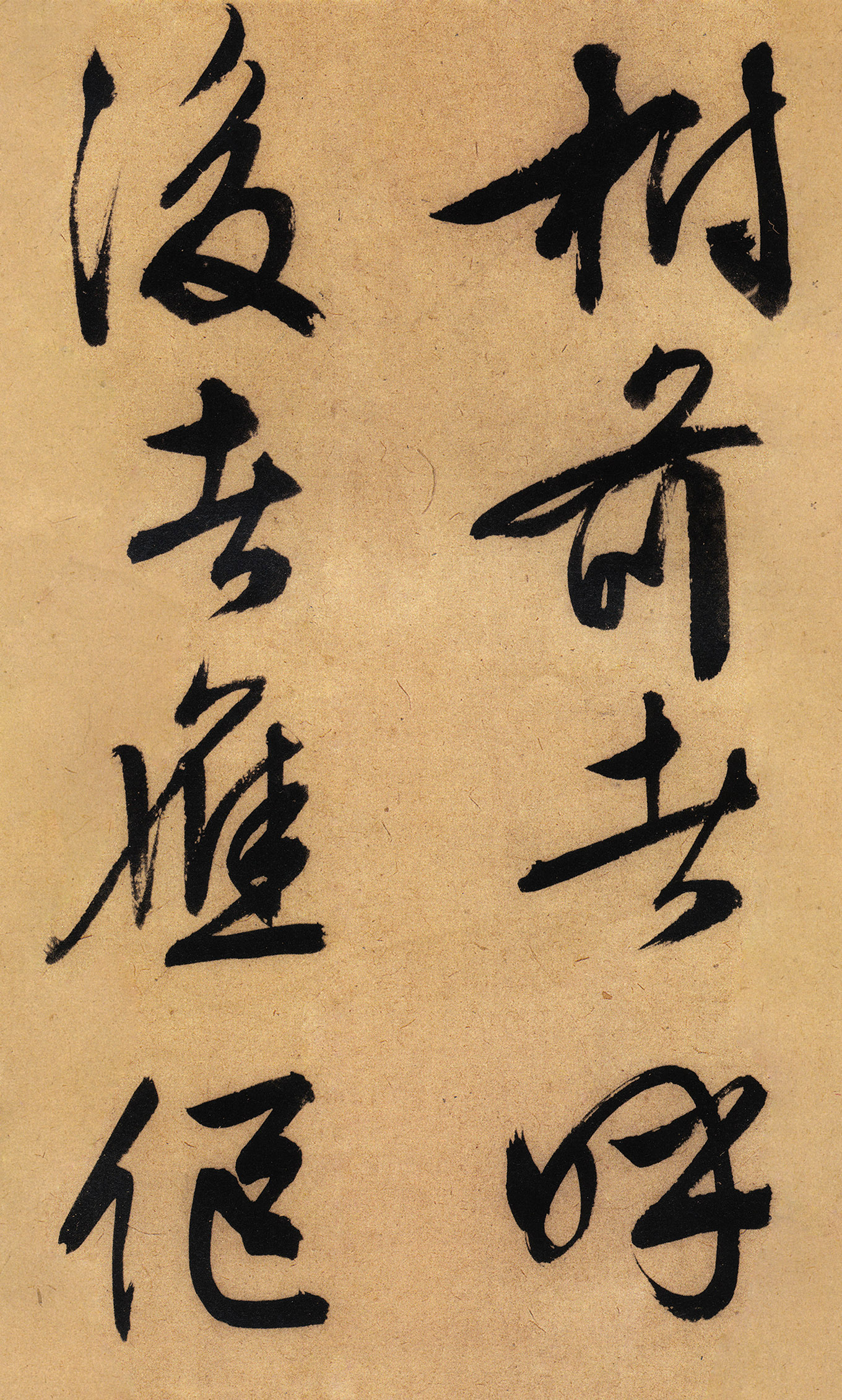 �������������顶����ͤ�ǡ�