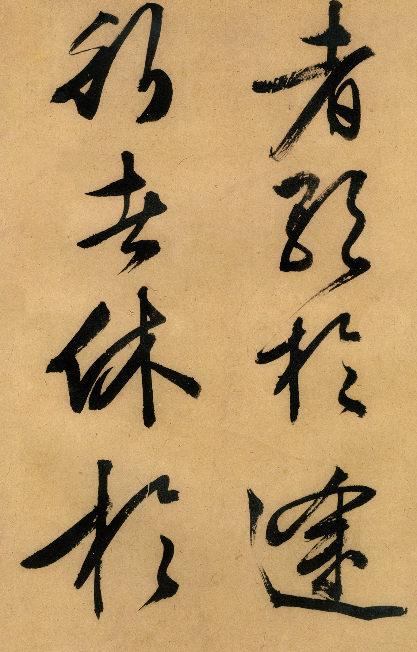 �������������顶����ͤ�ǡ�