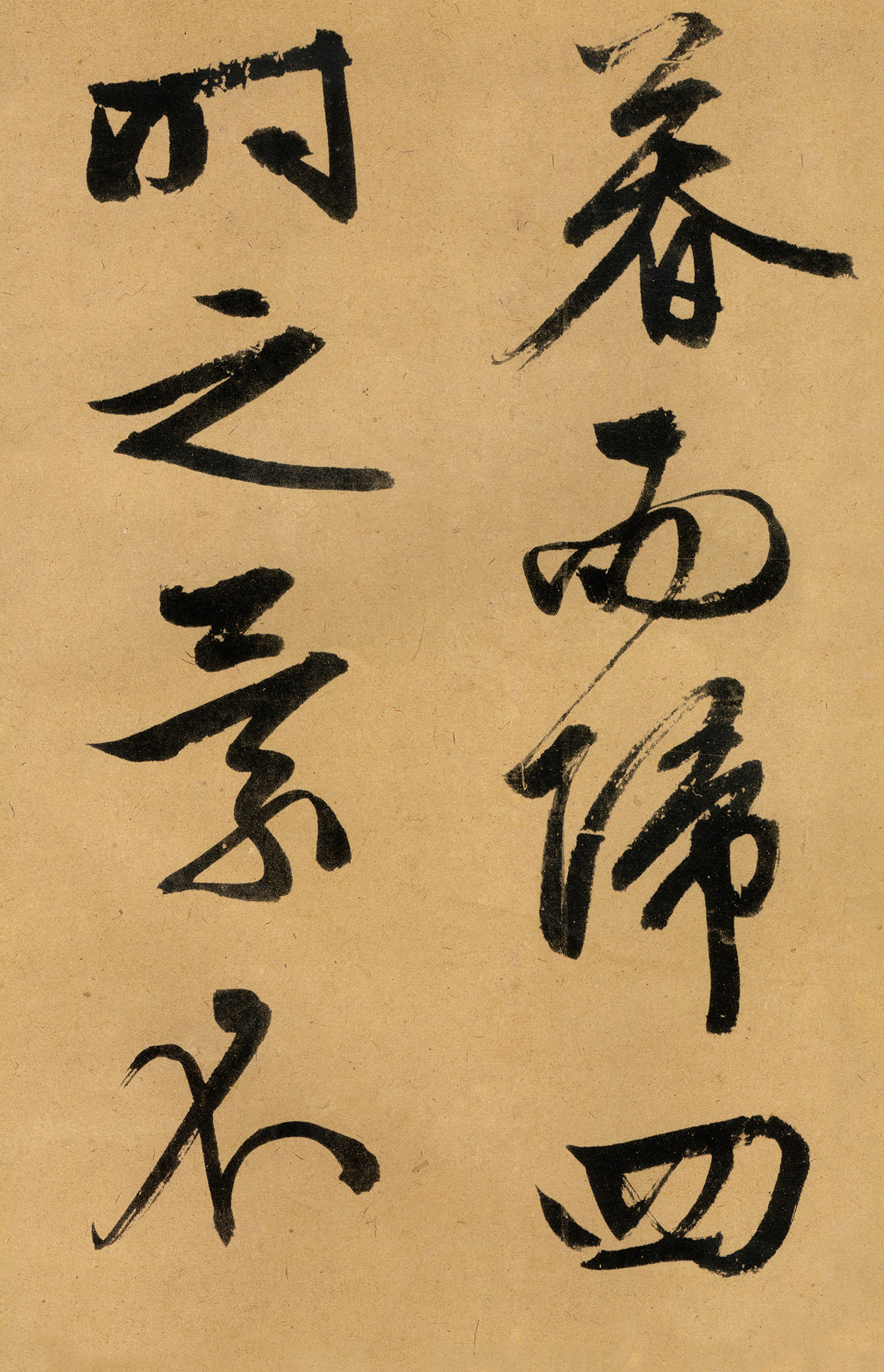 �������������顶����ͤ�ǡ�