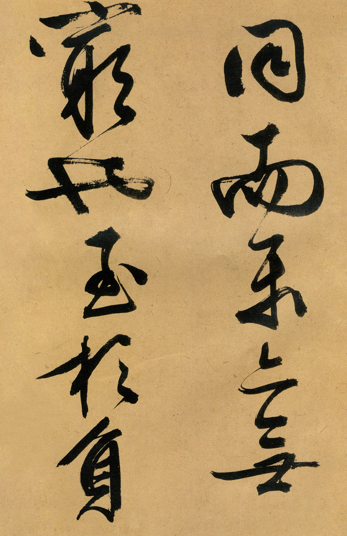 �������������顶����ͤ�ǡ�