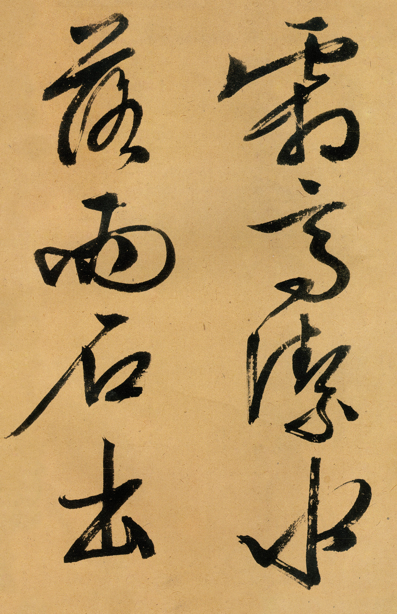 �������������顶����ͤ�ǡ�