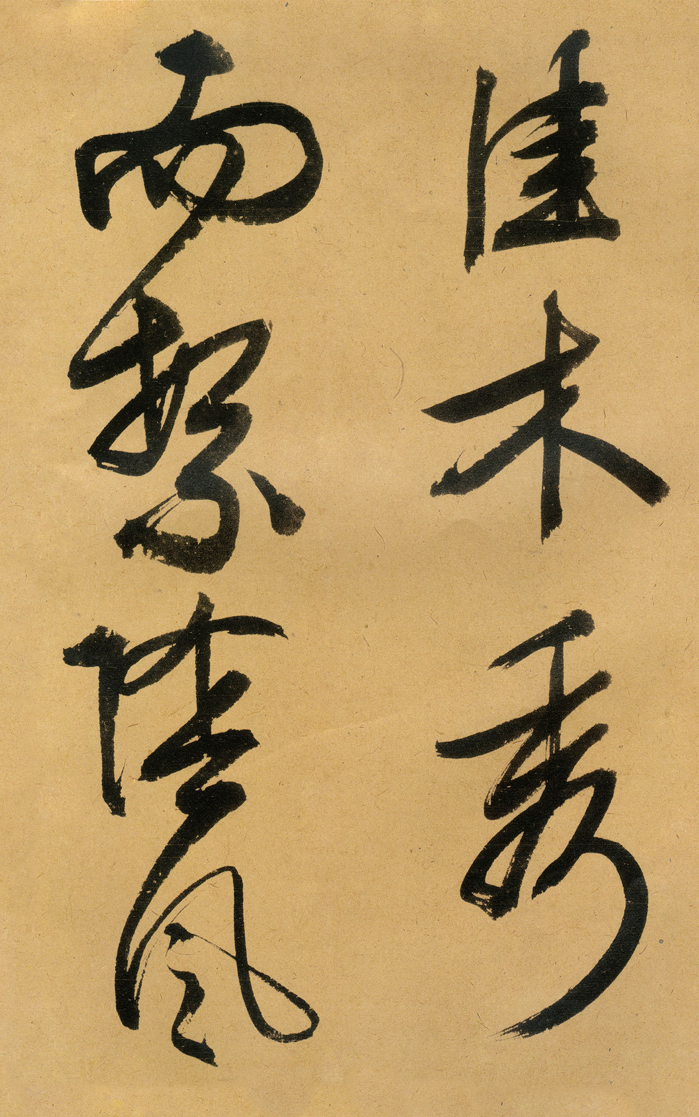 �������������顶����ͤ�ǡ�