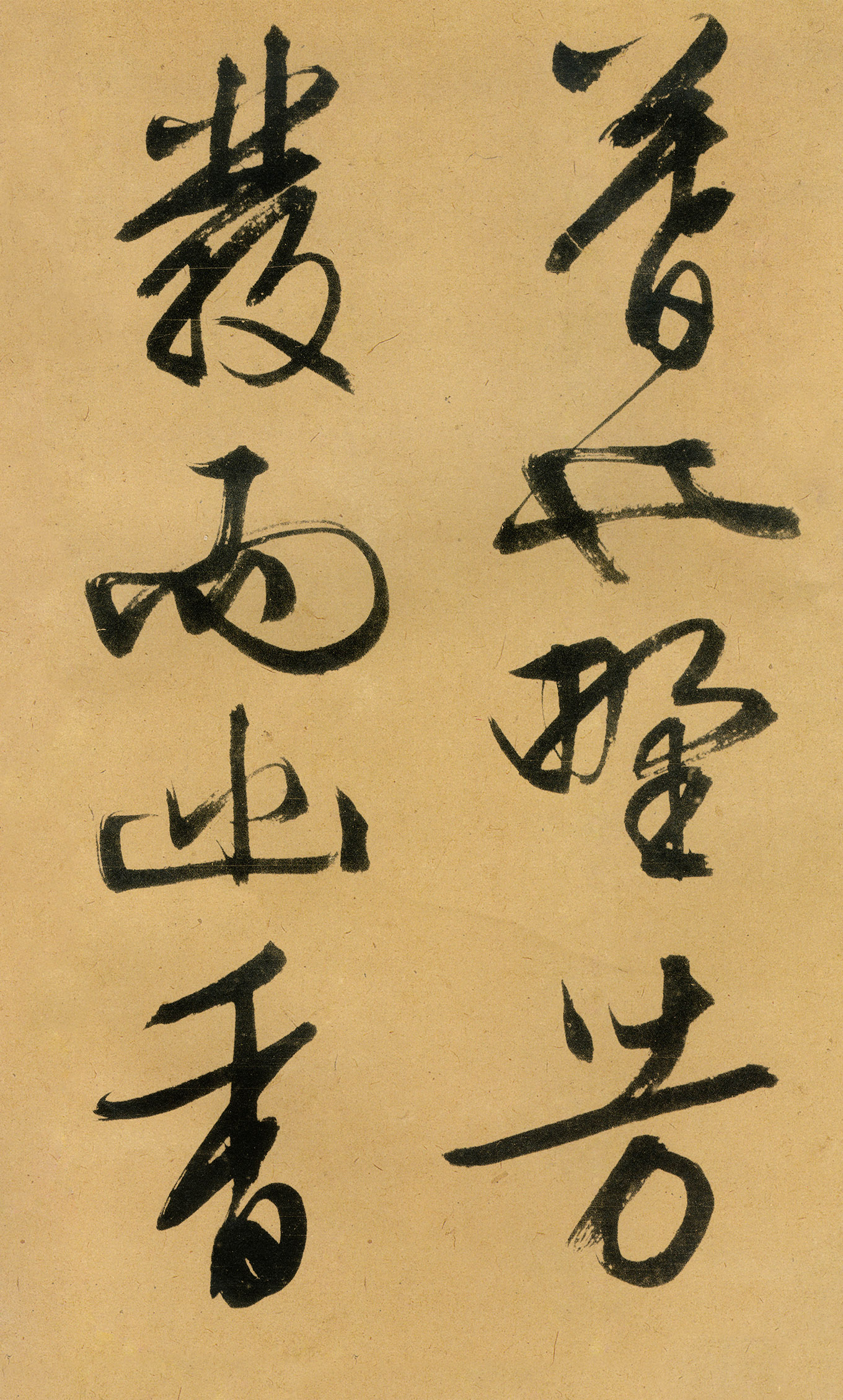 �������������顶����ͤ�ǡ�