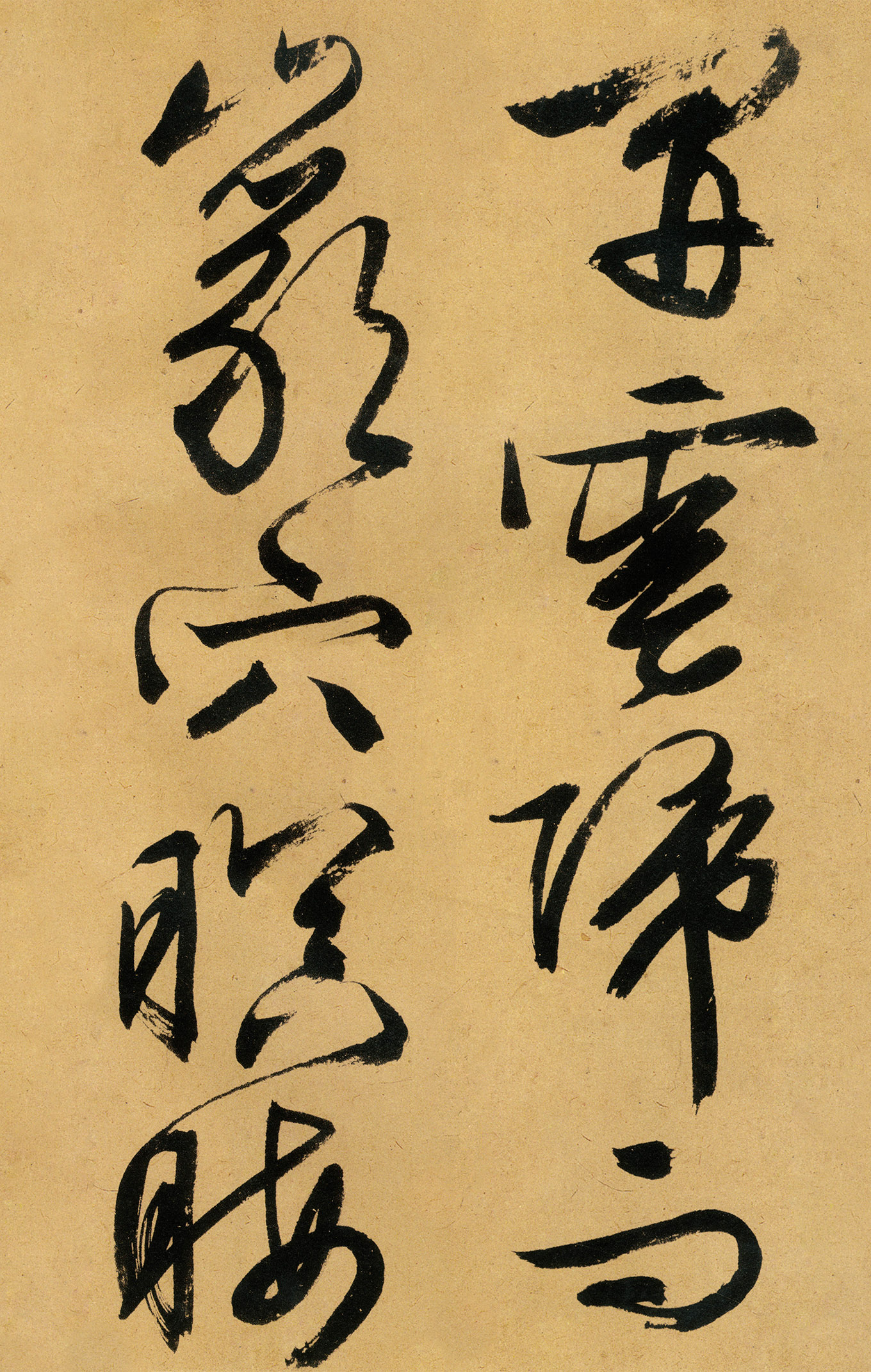 �������������顶����ͤ�ǡ�