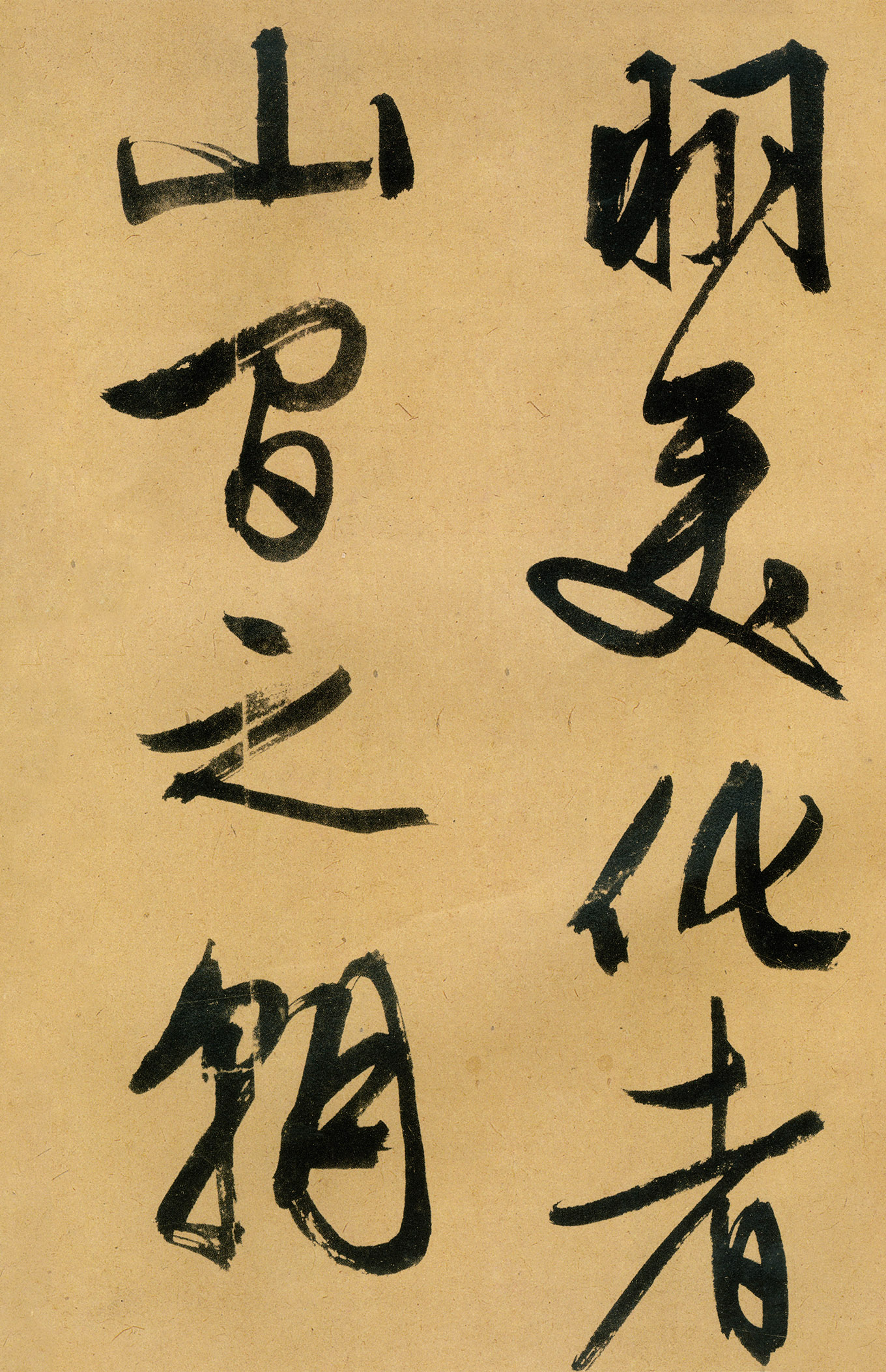 �������������顶����ͤ�ǡ�