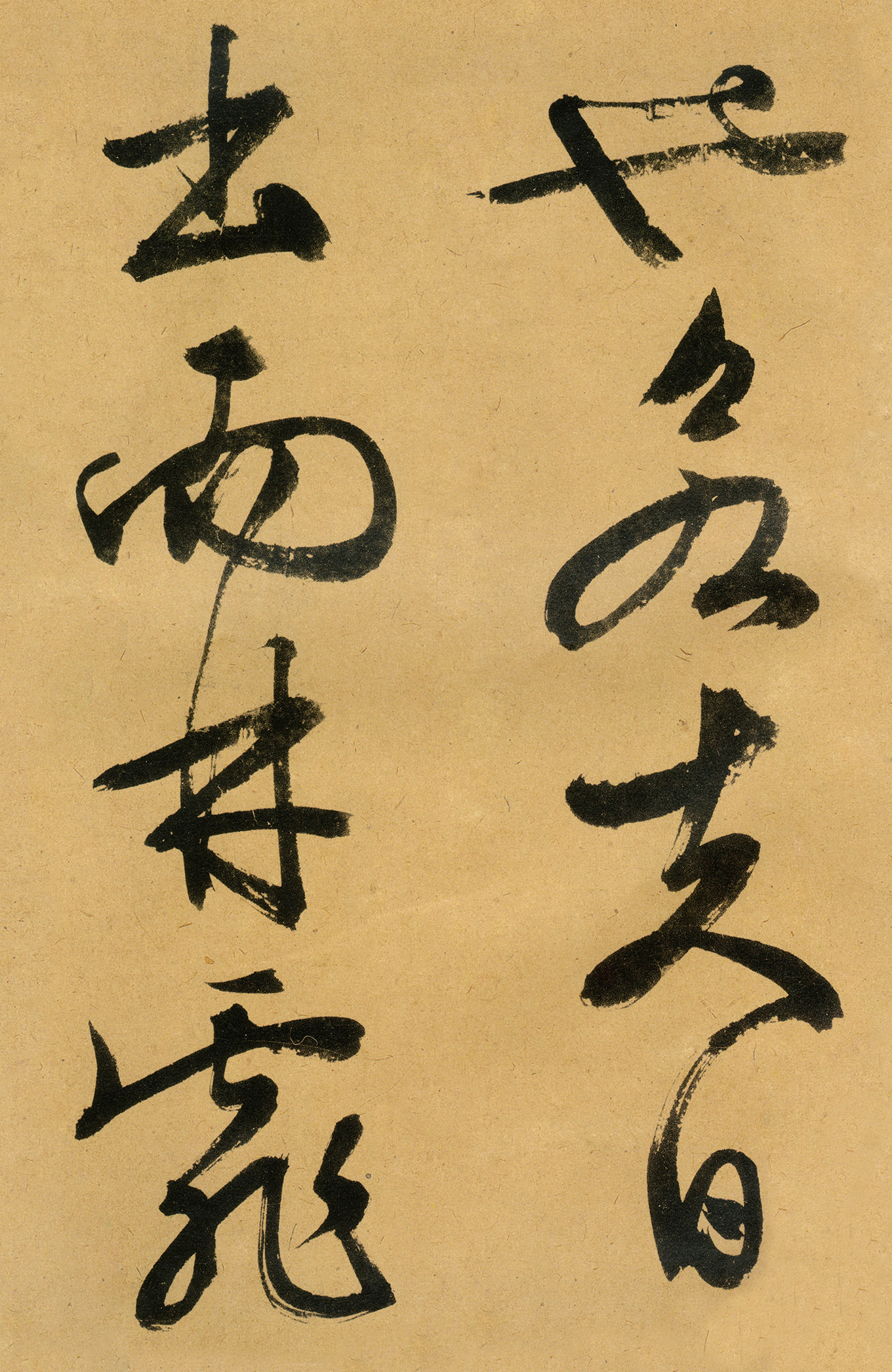 �������������顶����ͤ�ǡ�