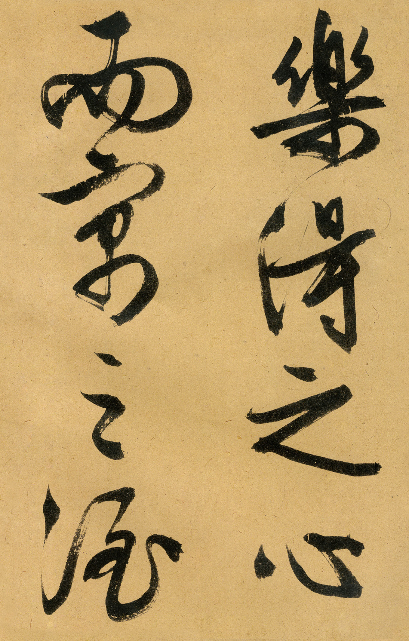 �������������顶����ͤ�ǡ�