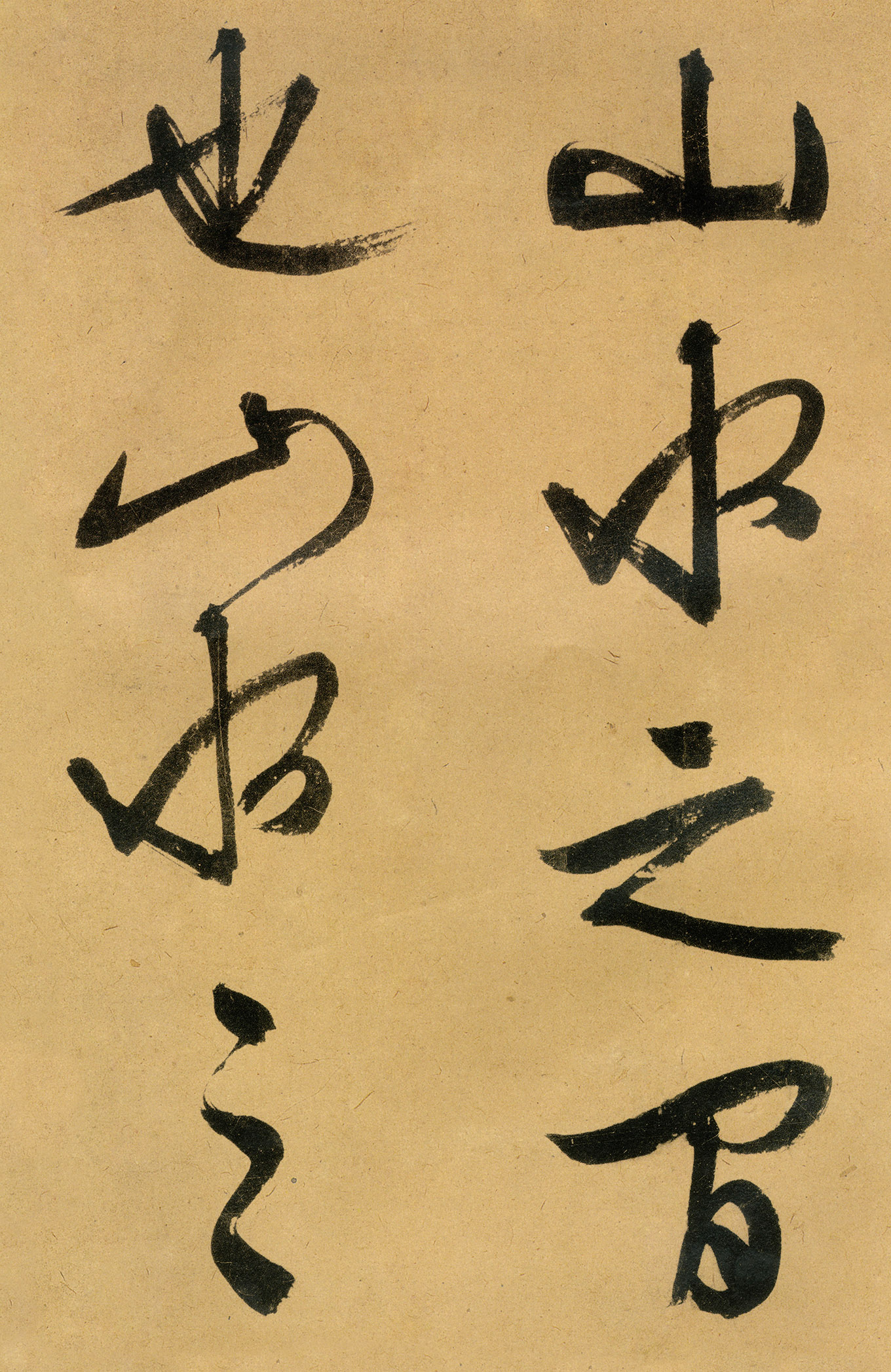 �������������顶����ͤ�ǡ�