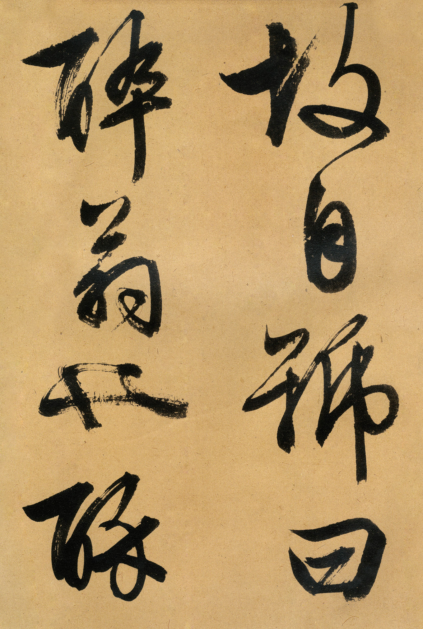 �������������顶����ͤ�ǡ�