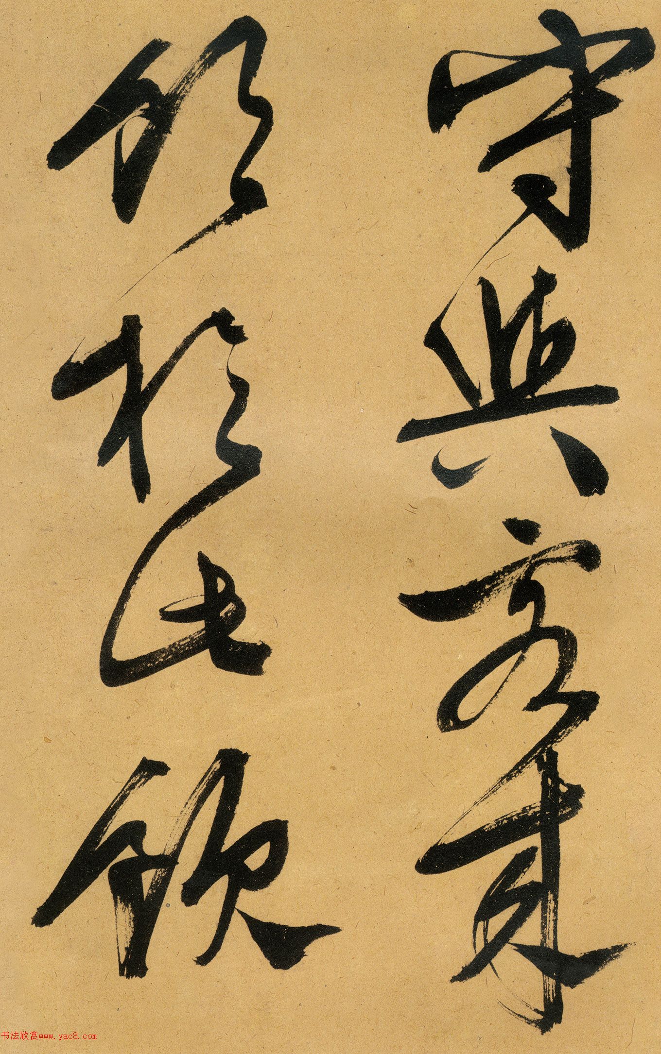 �������������顶����ͤ�ǡ�