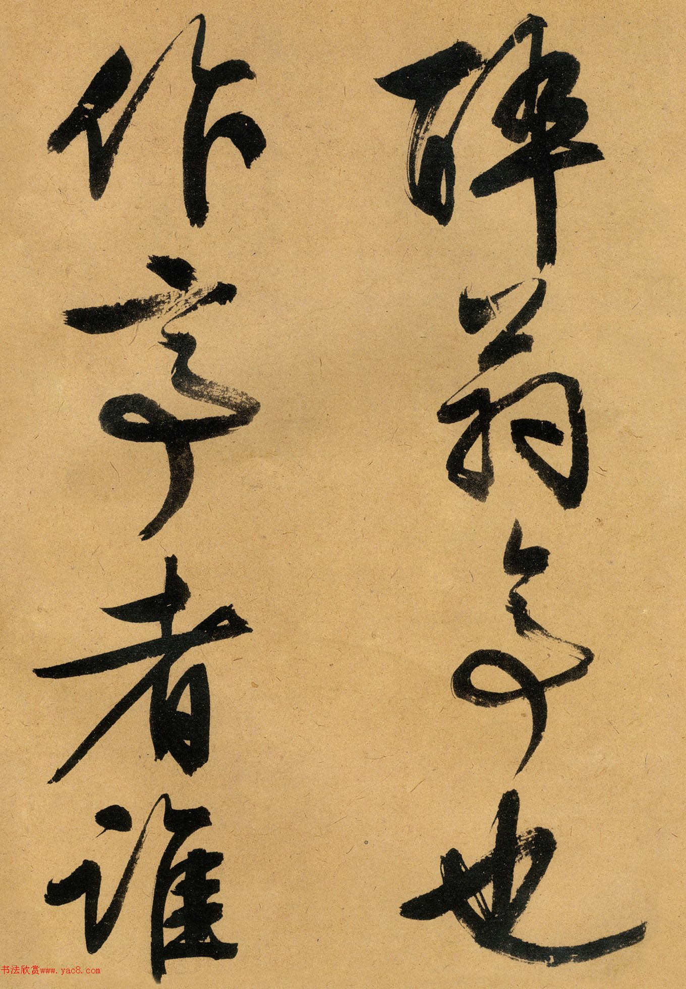 �������������顶����ͤ�ǡ�