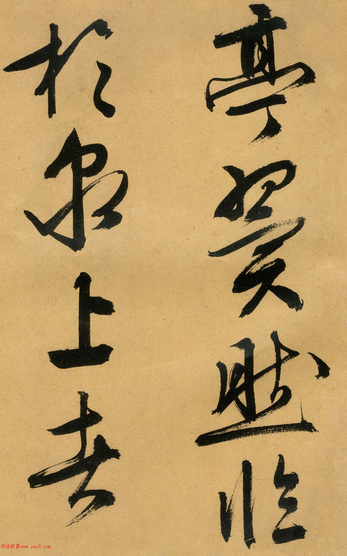 �������������顶����ͤ�ǡ�