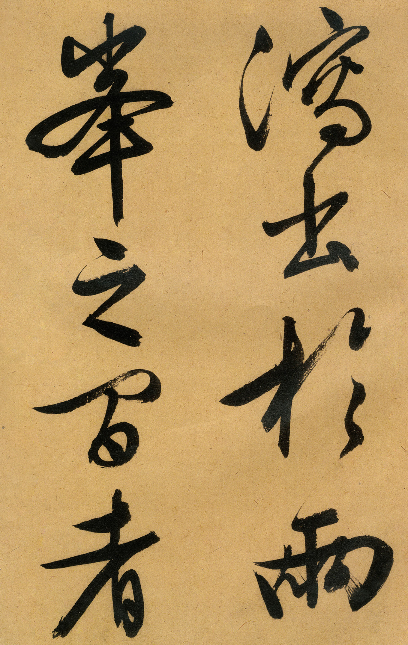 �������������顶����ͤ�ǡ�