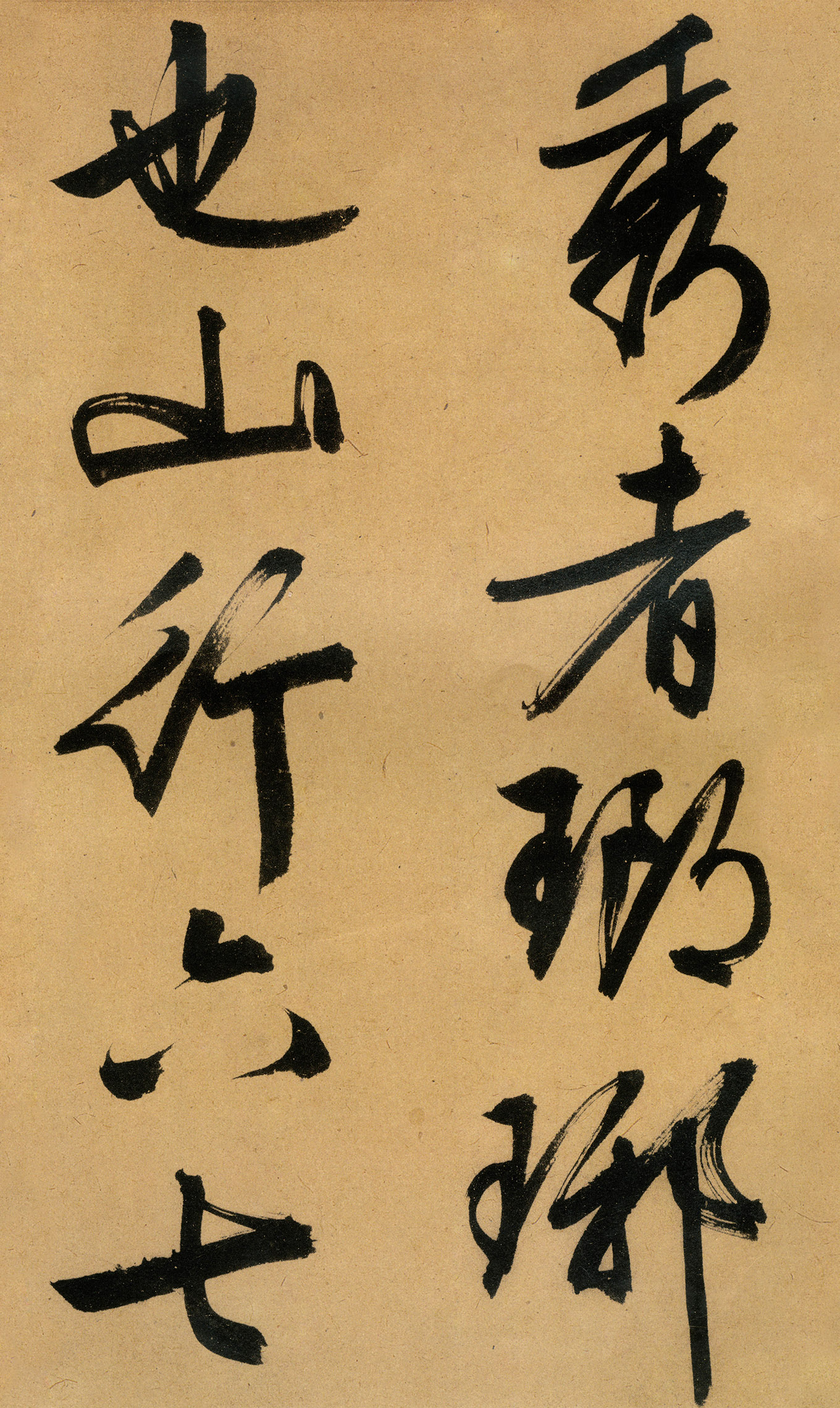 �������������顶����ͤ�ǡ�