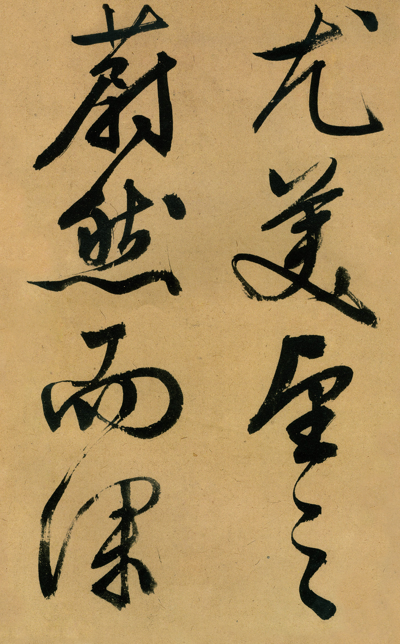 �������������顶����ͤ�ǡ�