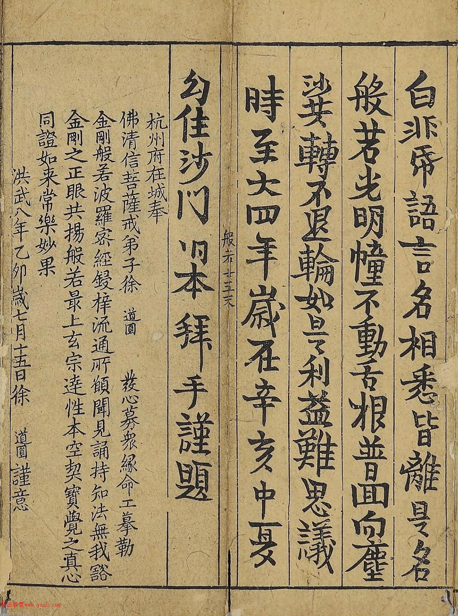 �����\�顶��վ����������걾