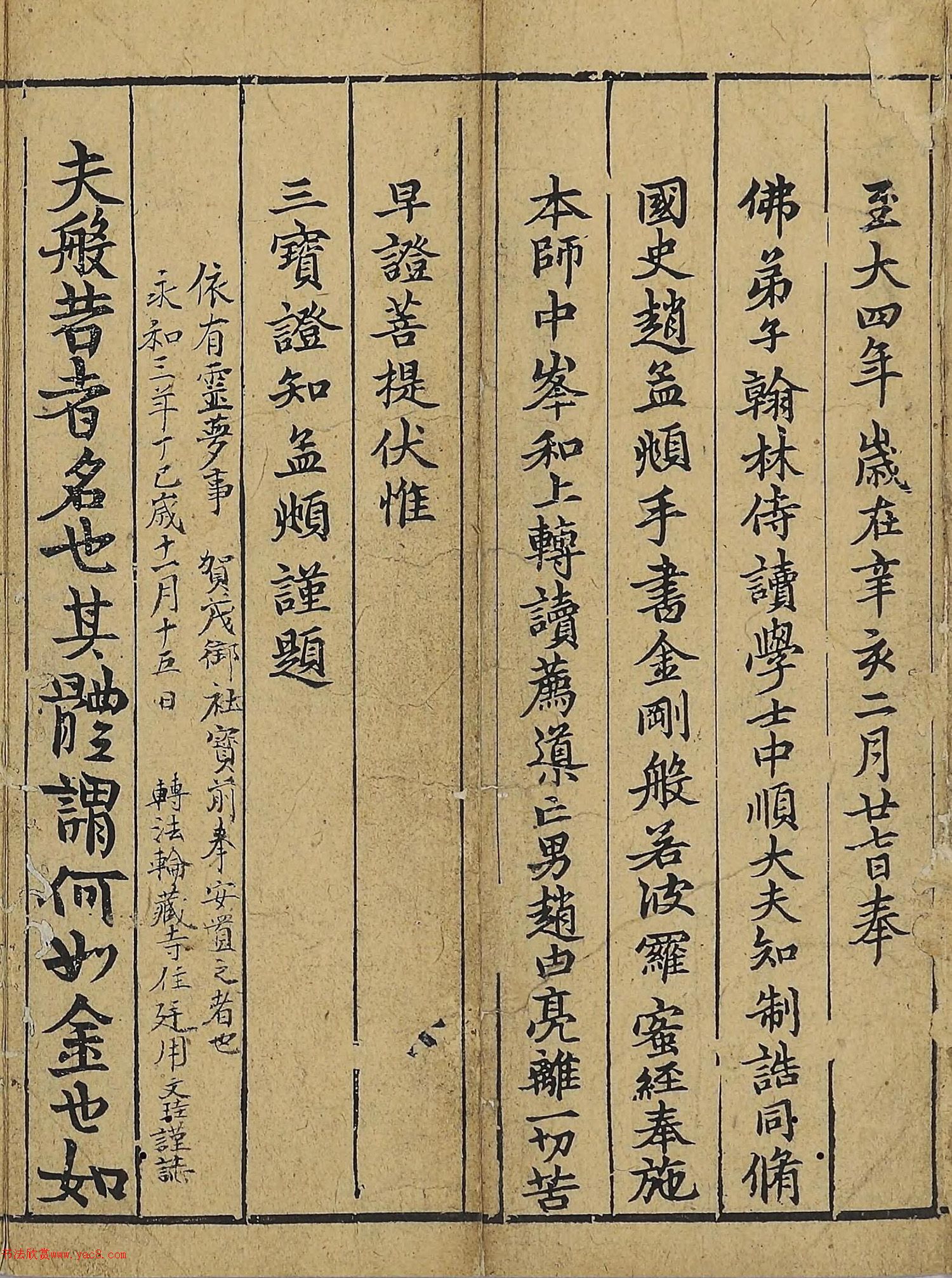 �����\�顶��վ����������걾