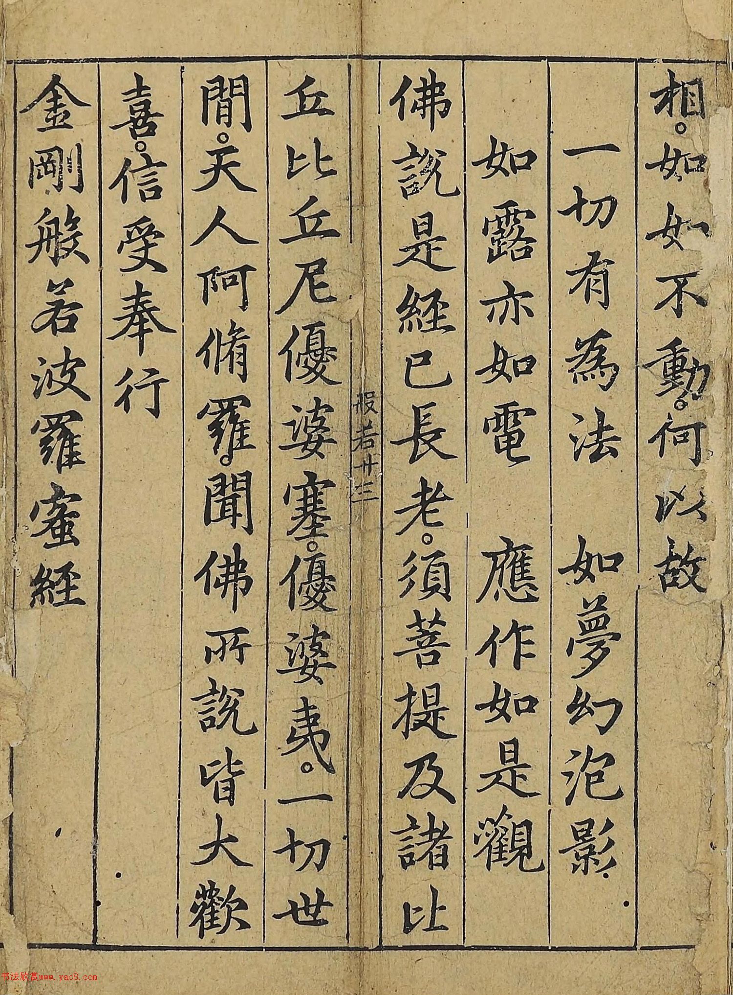 �����\�顶��վ����������걾