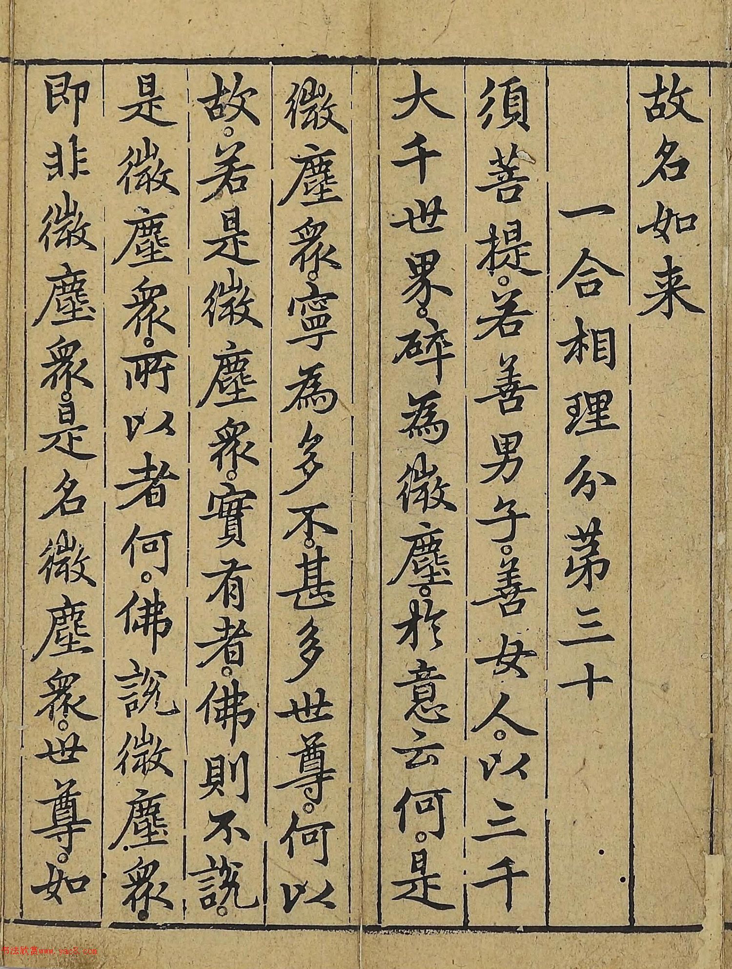 �����\�顶��վ����������걾