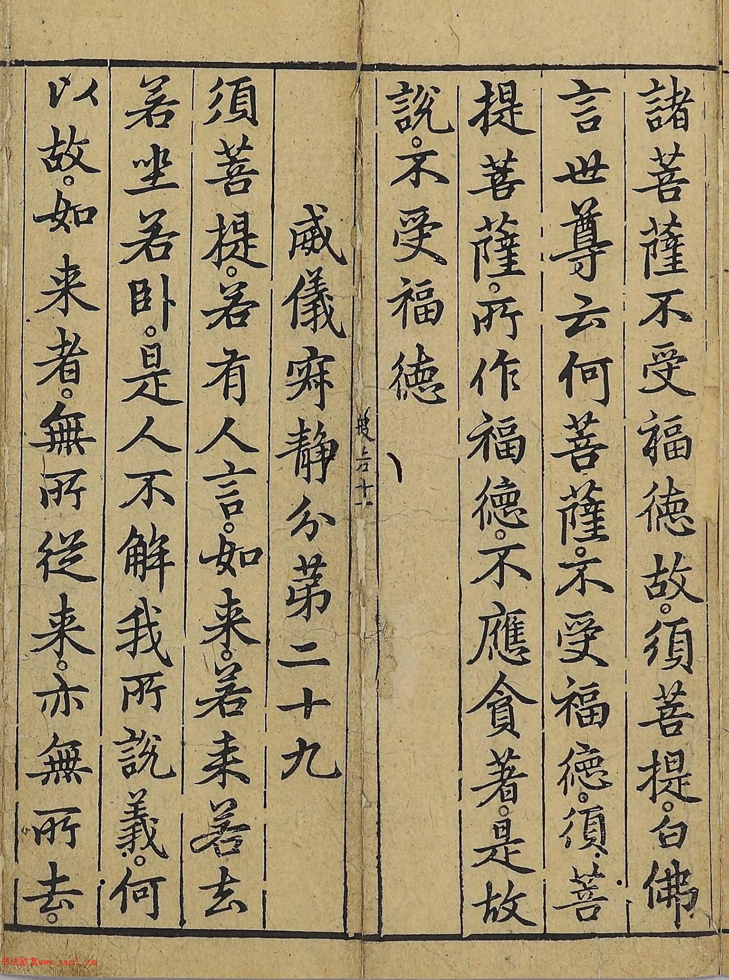 �����\�顶��վ����������걾