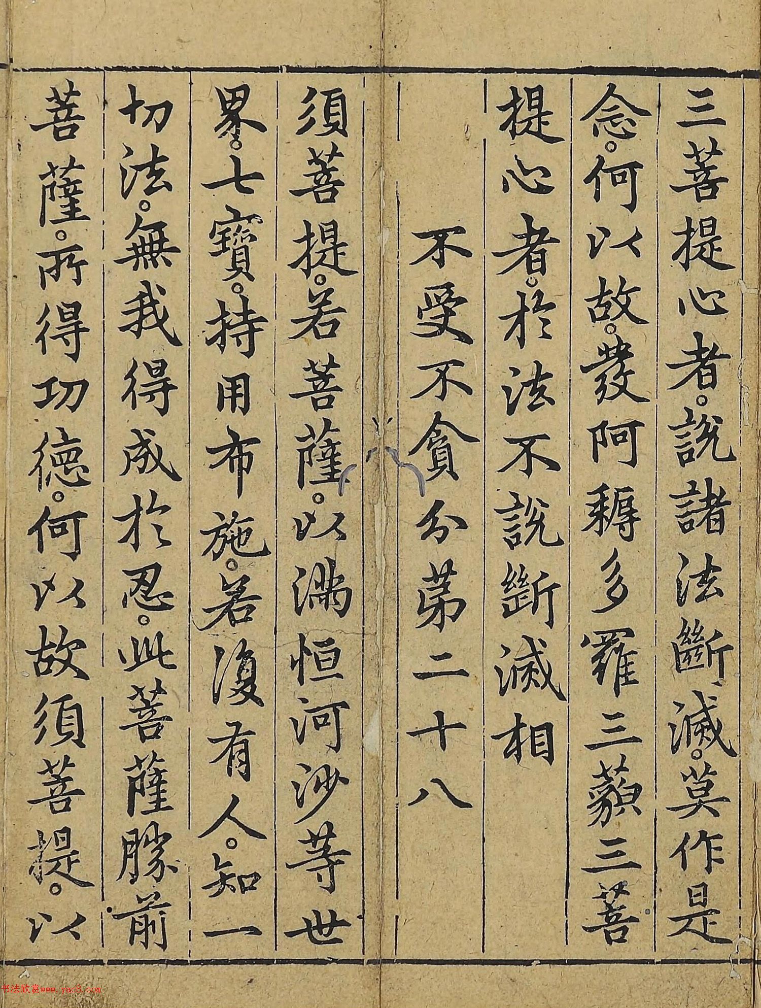 �����\�顶��վ����������걾